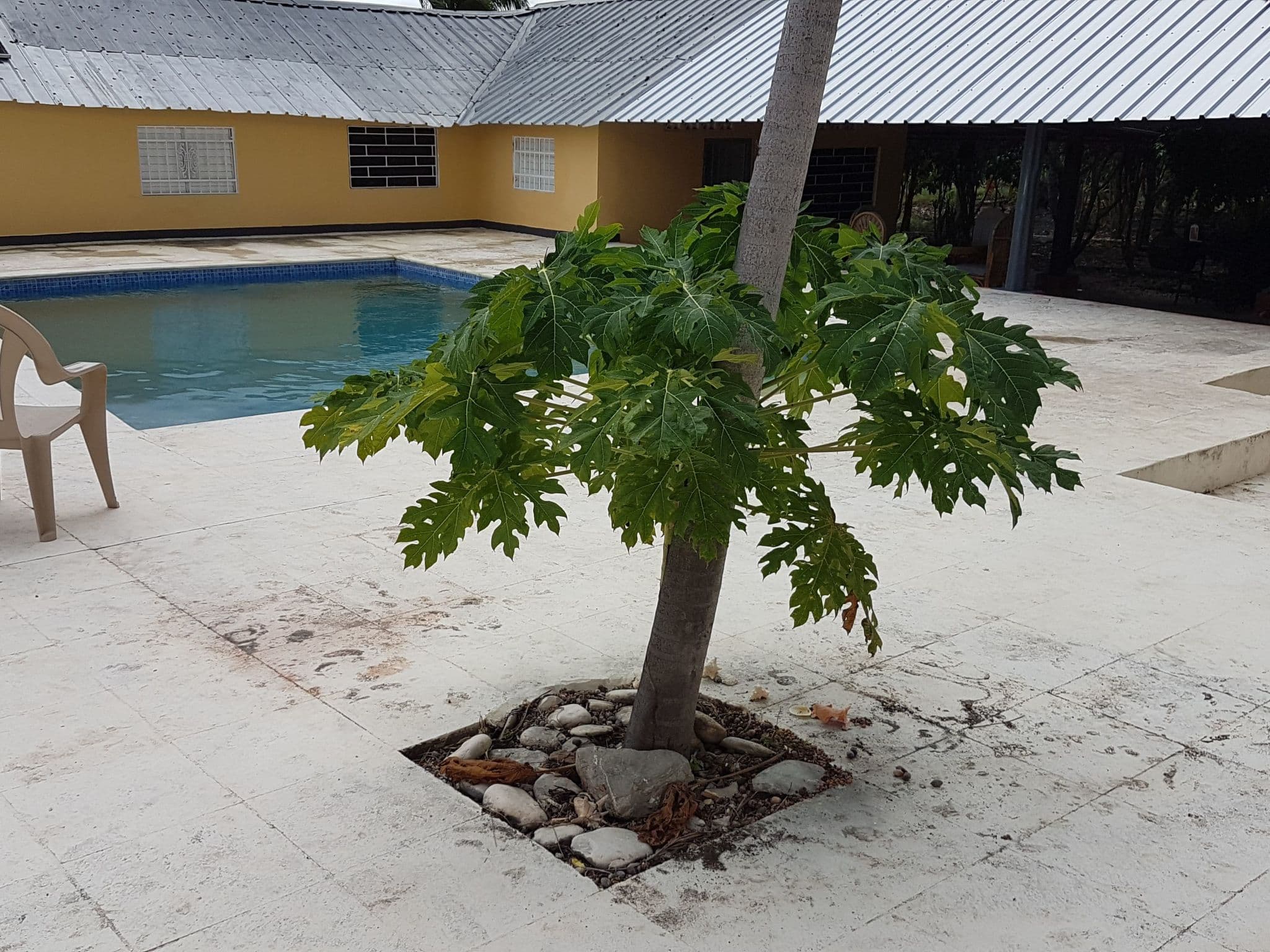 Pool Outdoor
