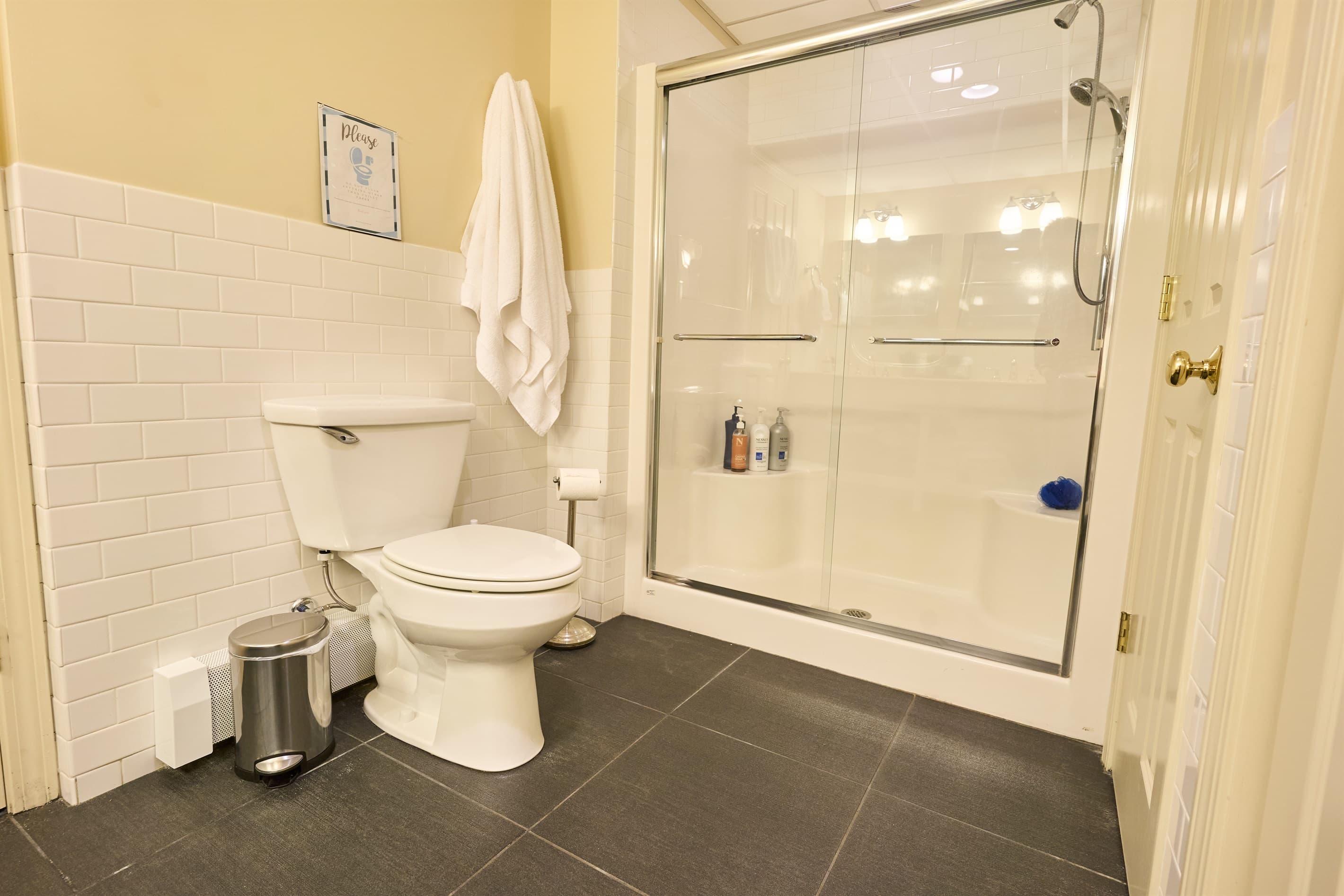 Lower level bathroom.