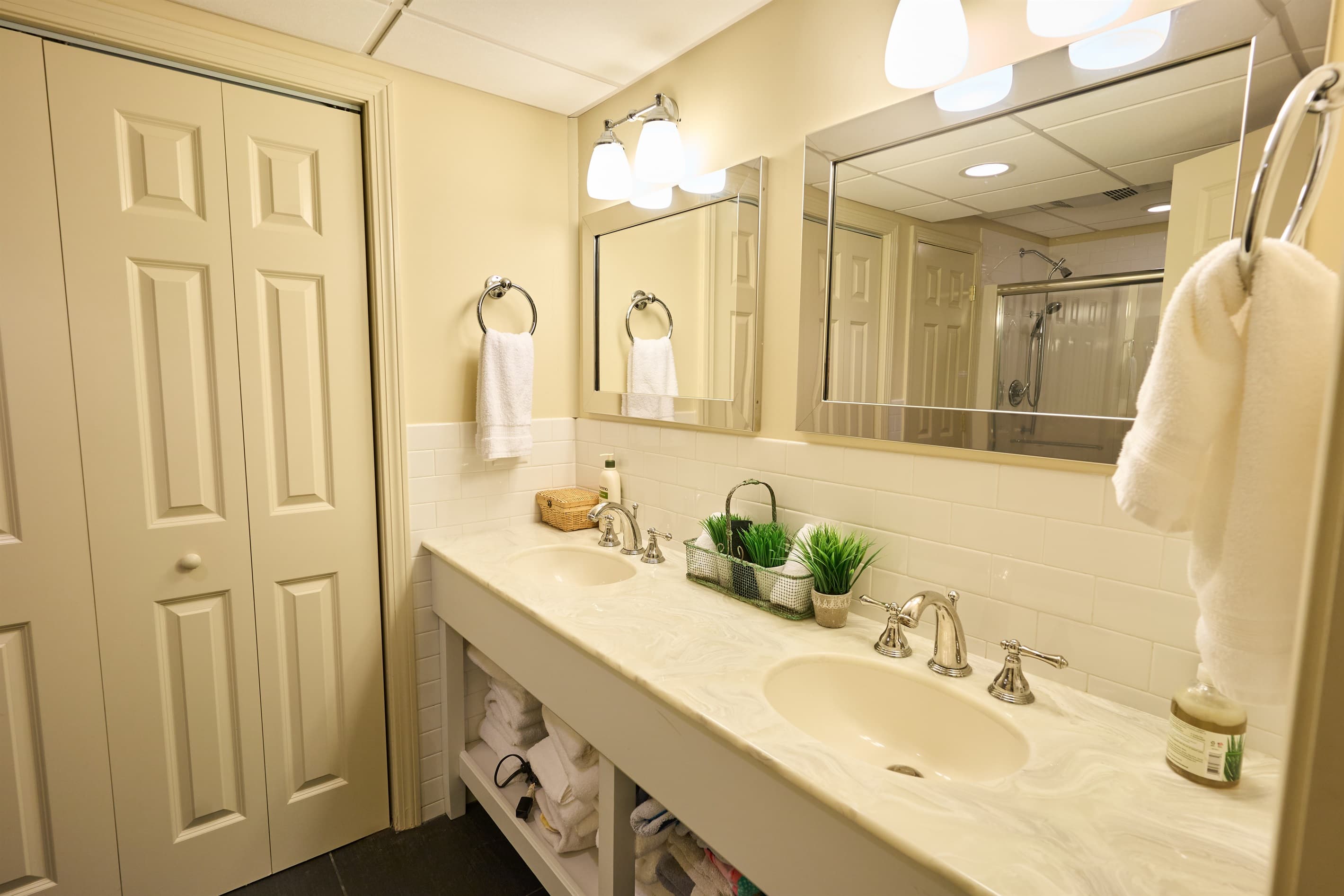 Lower level bathroom.