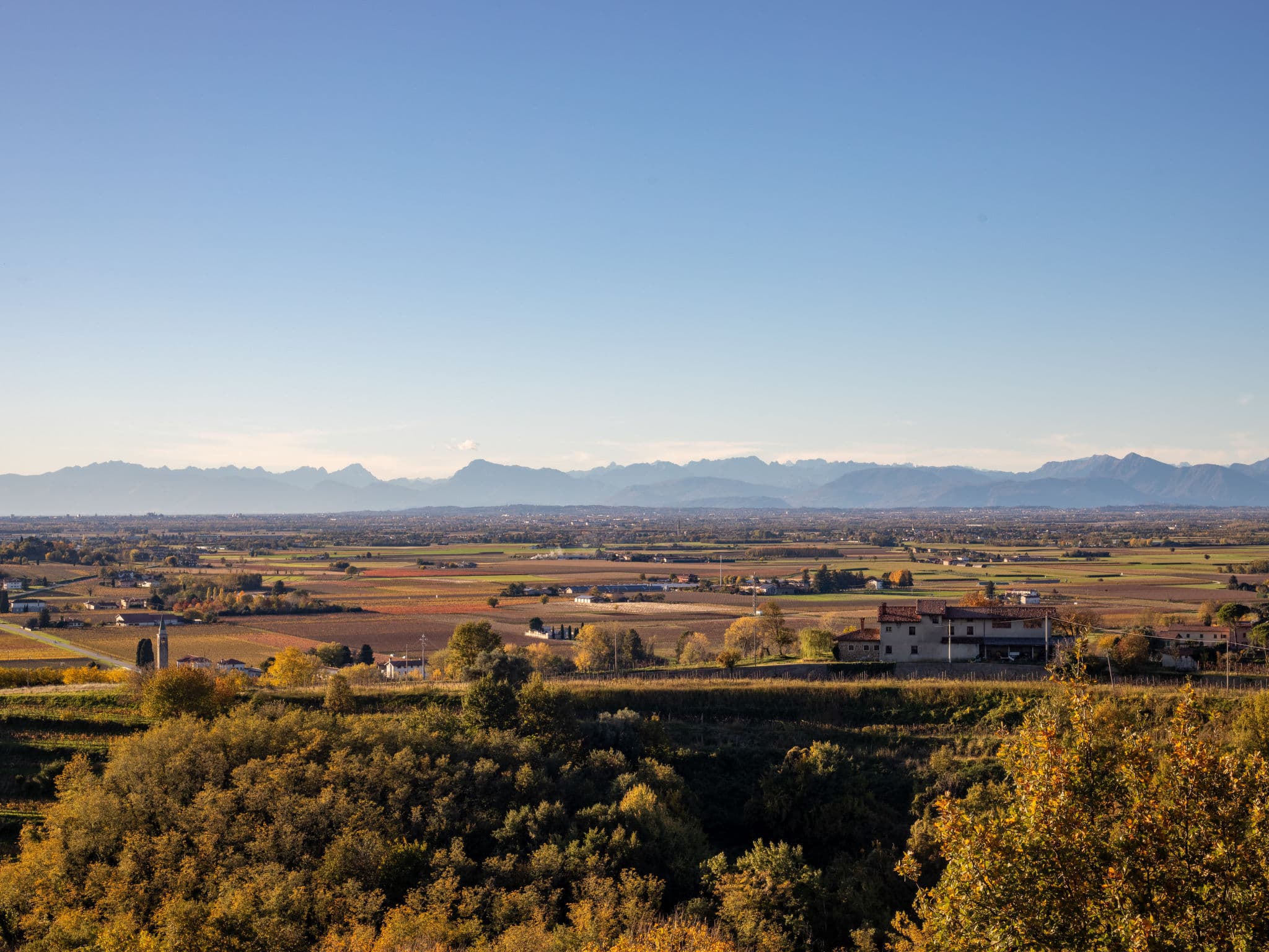 View
