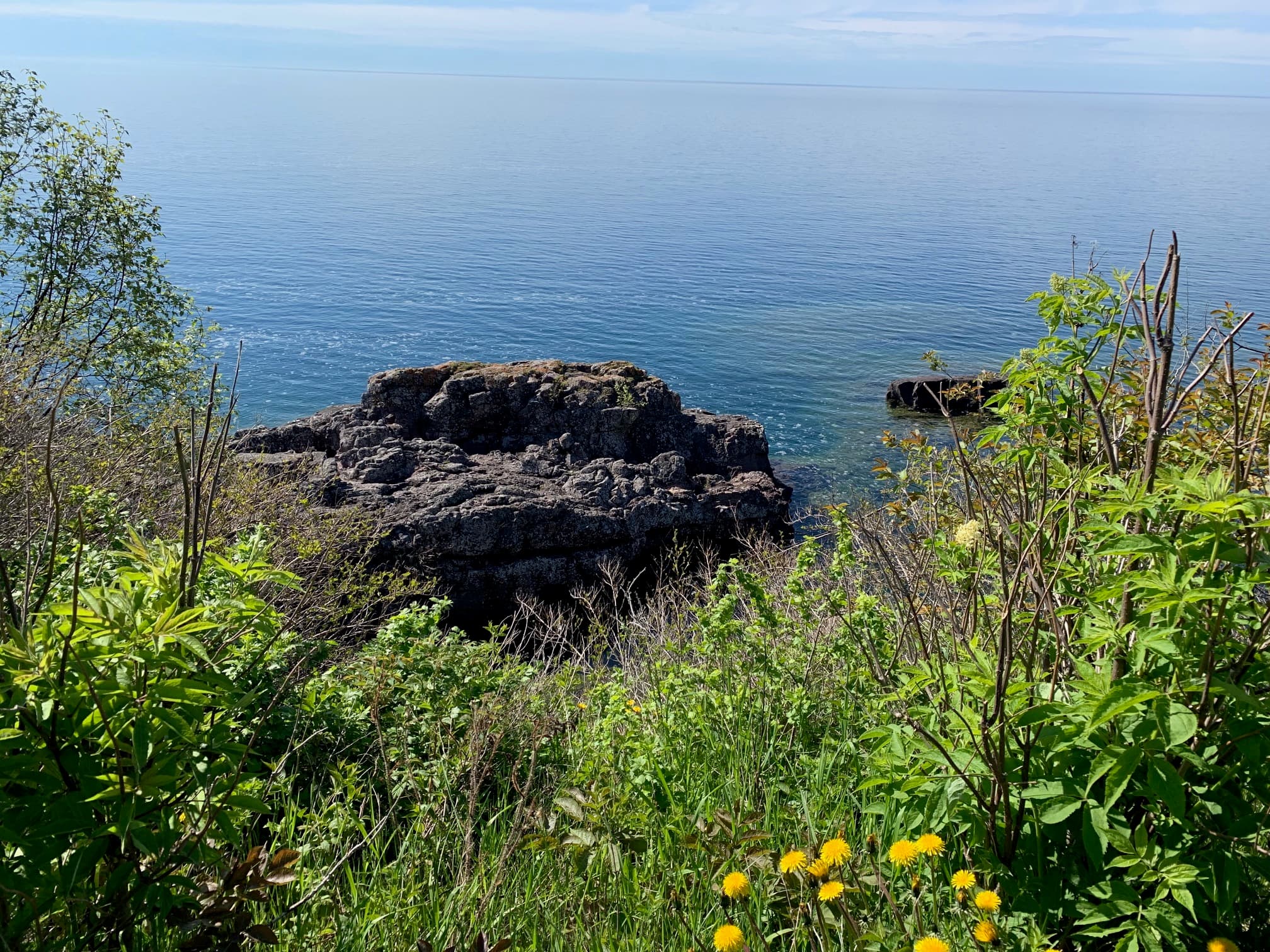 Shoreline view