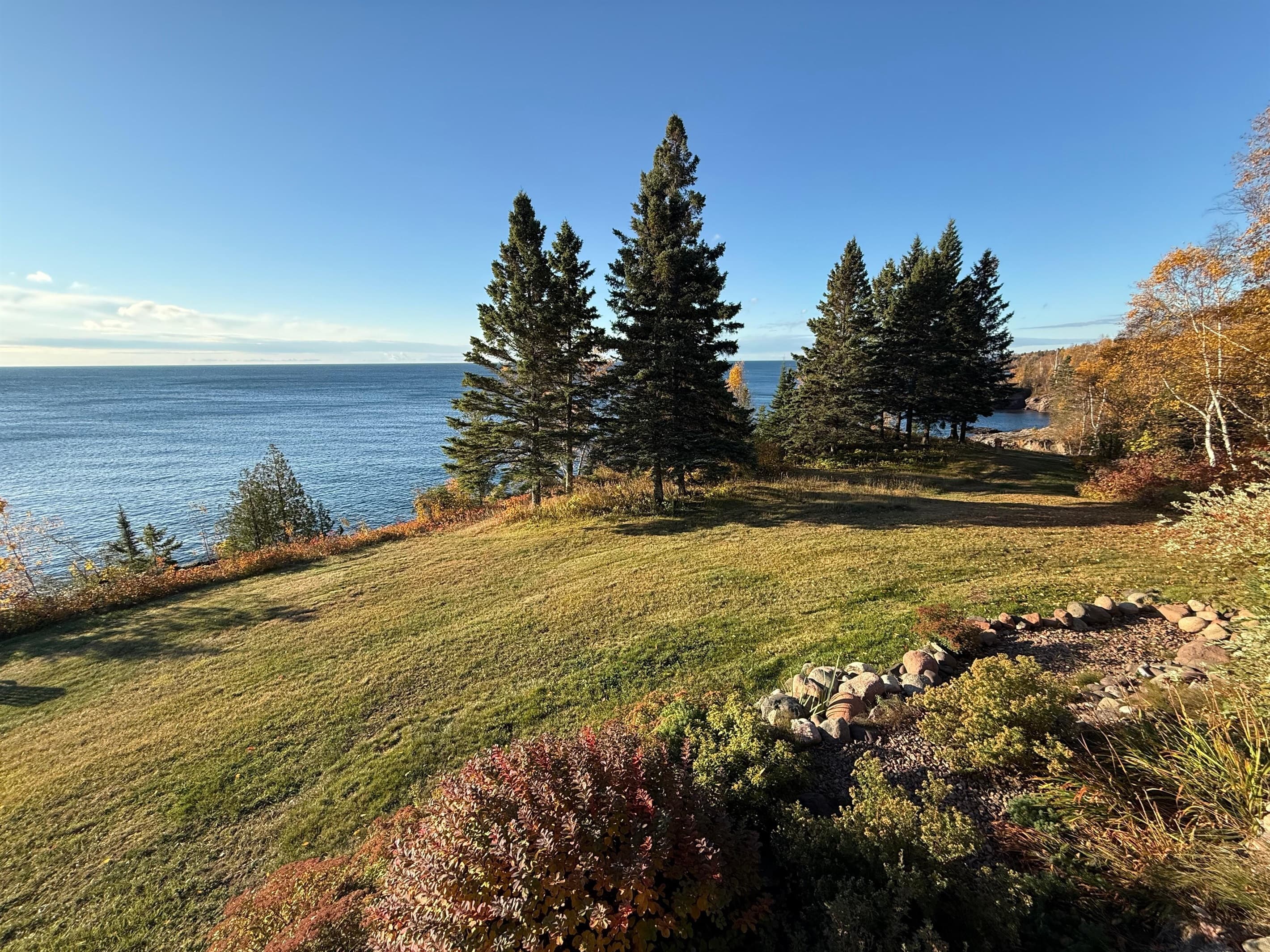 Backyard view