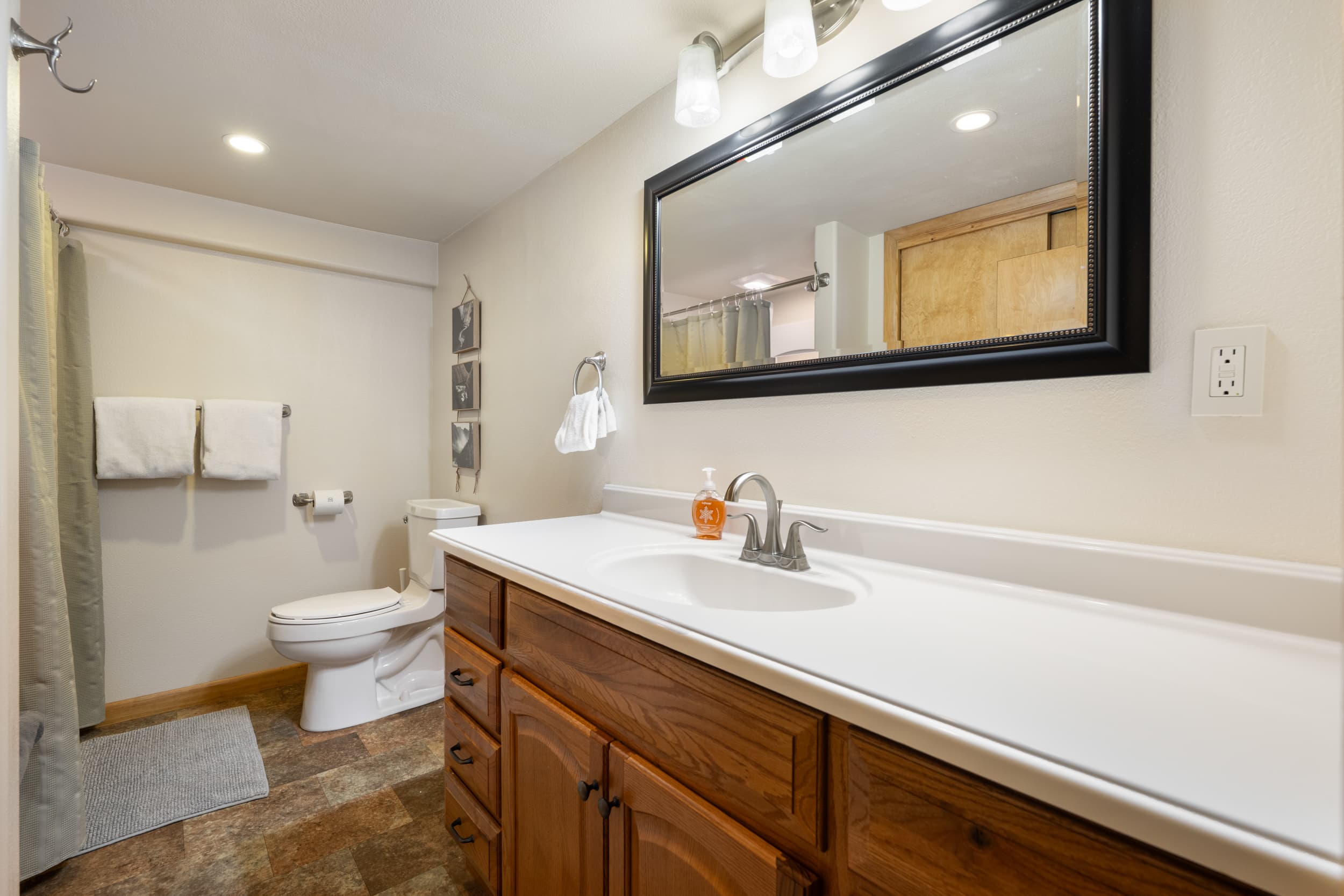 Lower level full bathroom