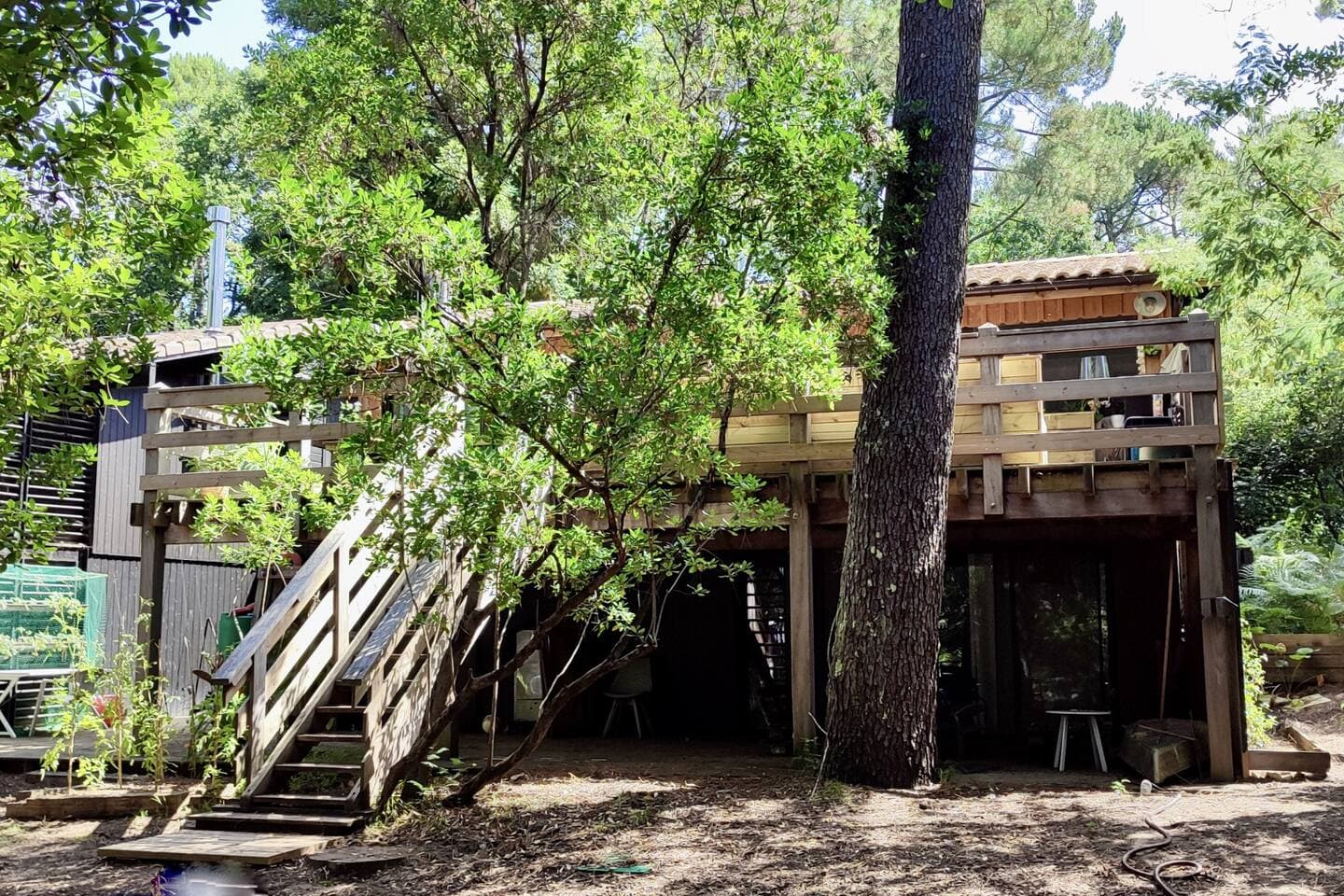 Gallery Image 11