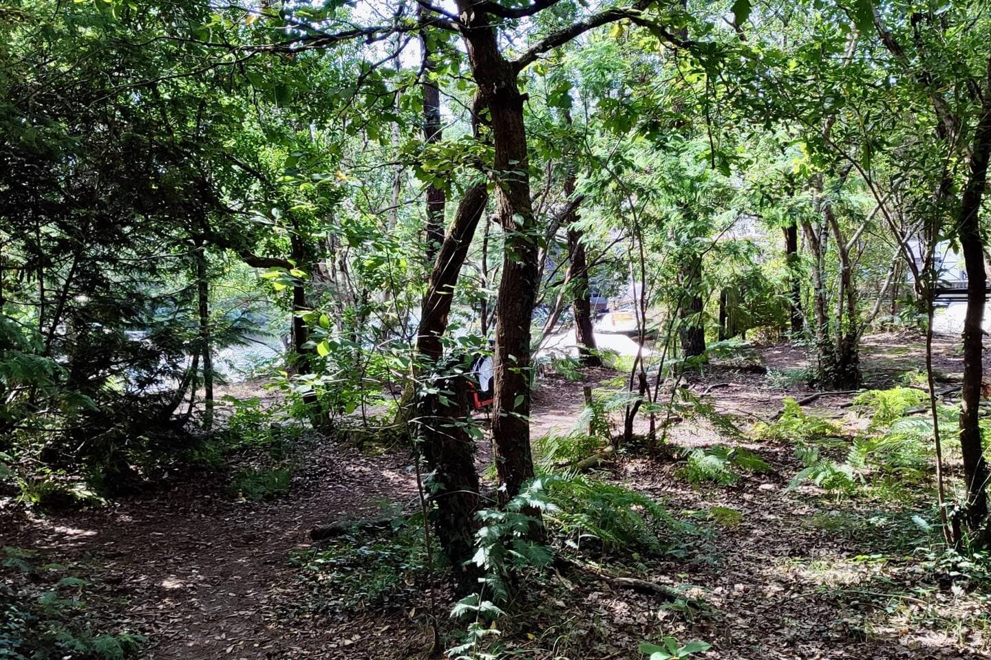 Gallery Image 56