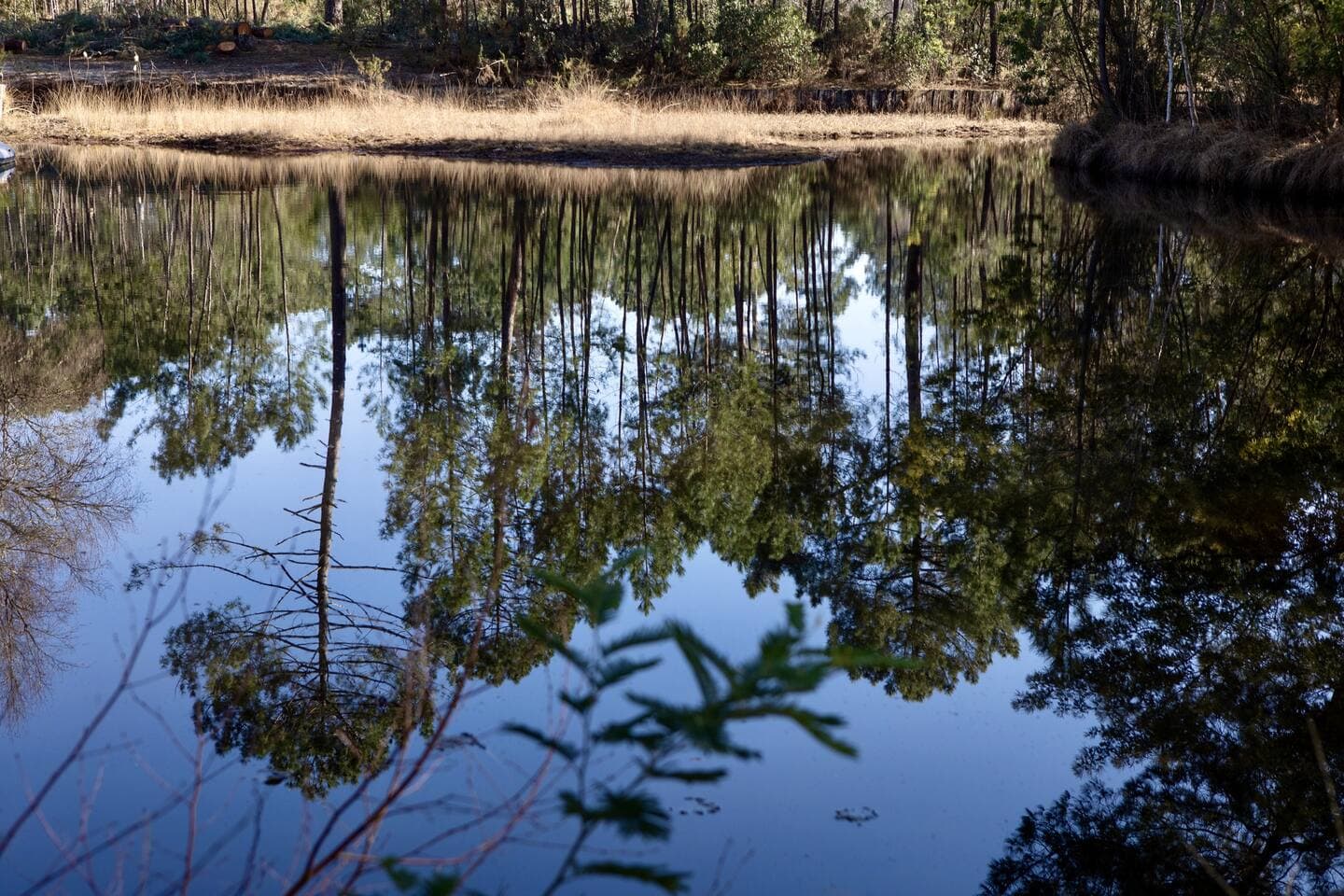 the lake at the end of the garden
