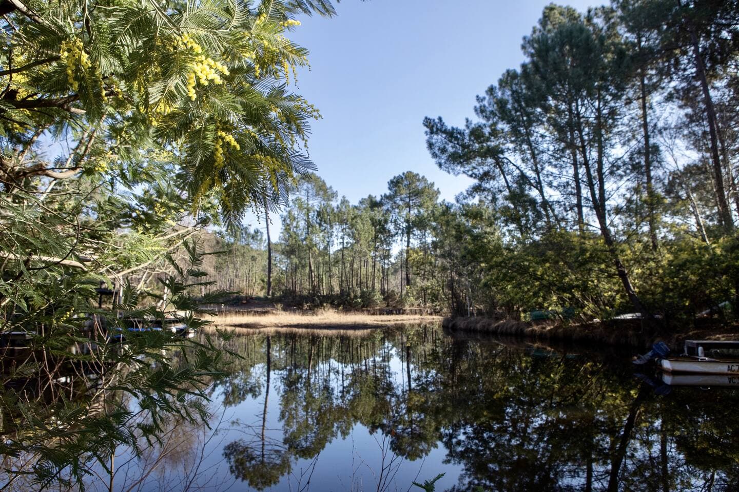 the lake at the end of the garden