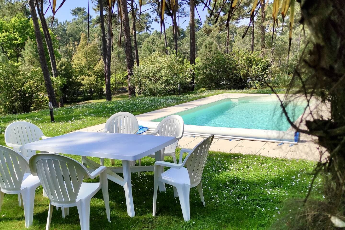 haven of peace in the pines with its west facing pool