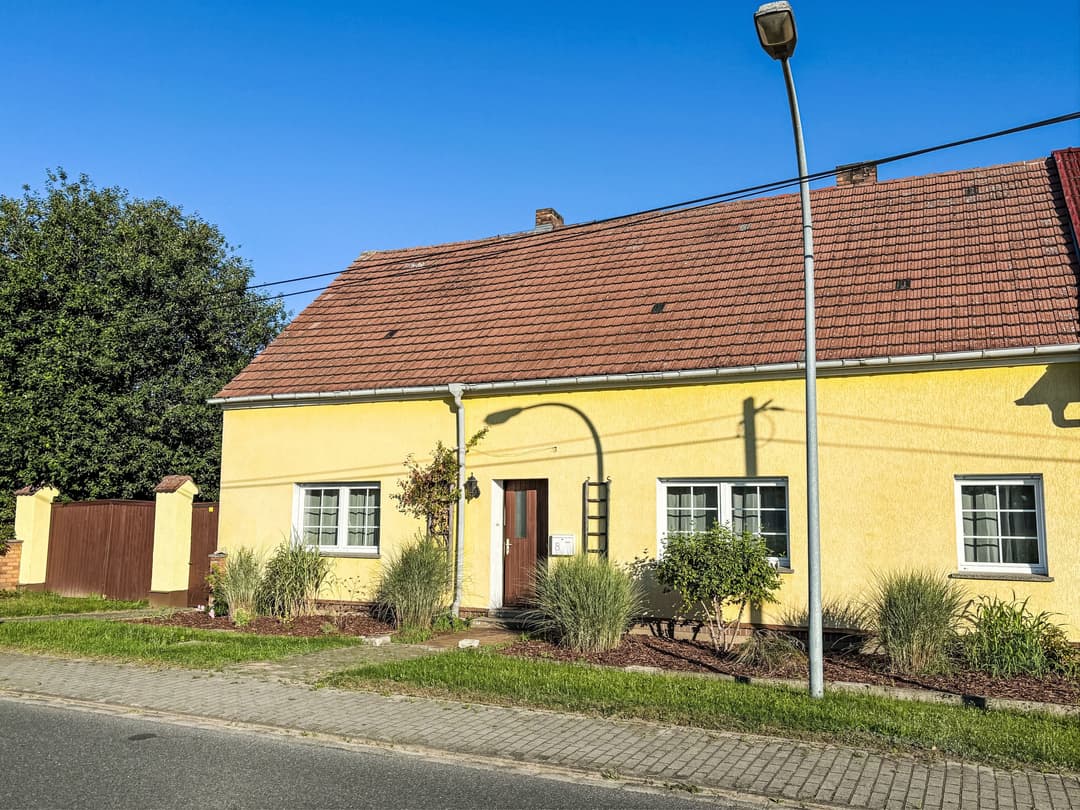 Large Image