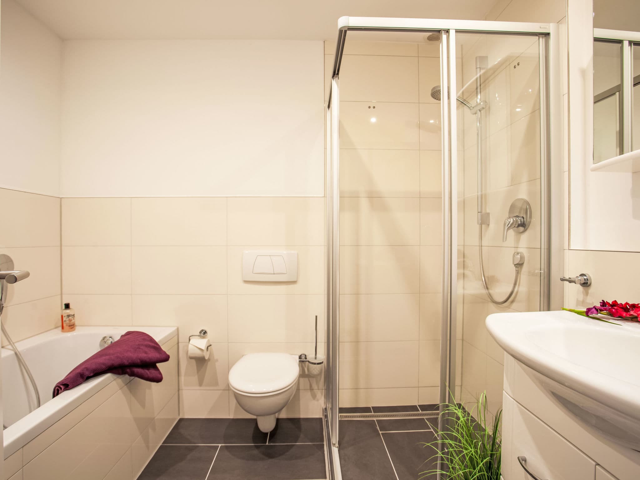 Bathroom / Wellness