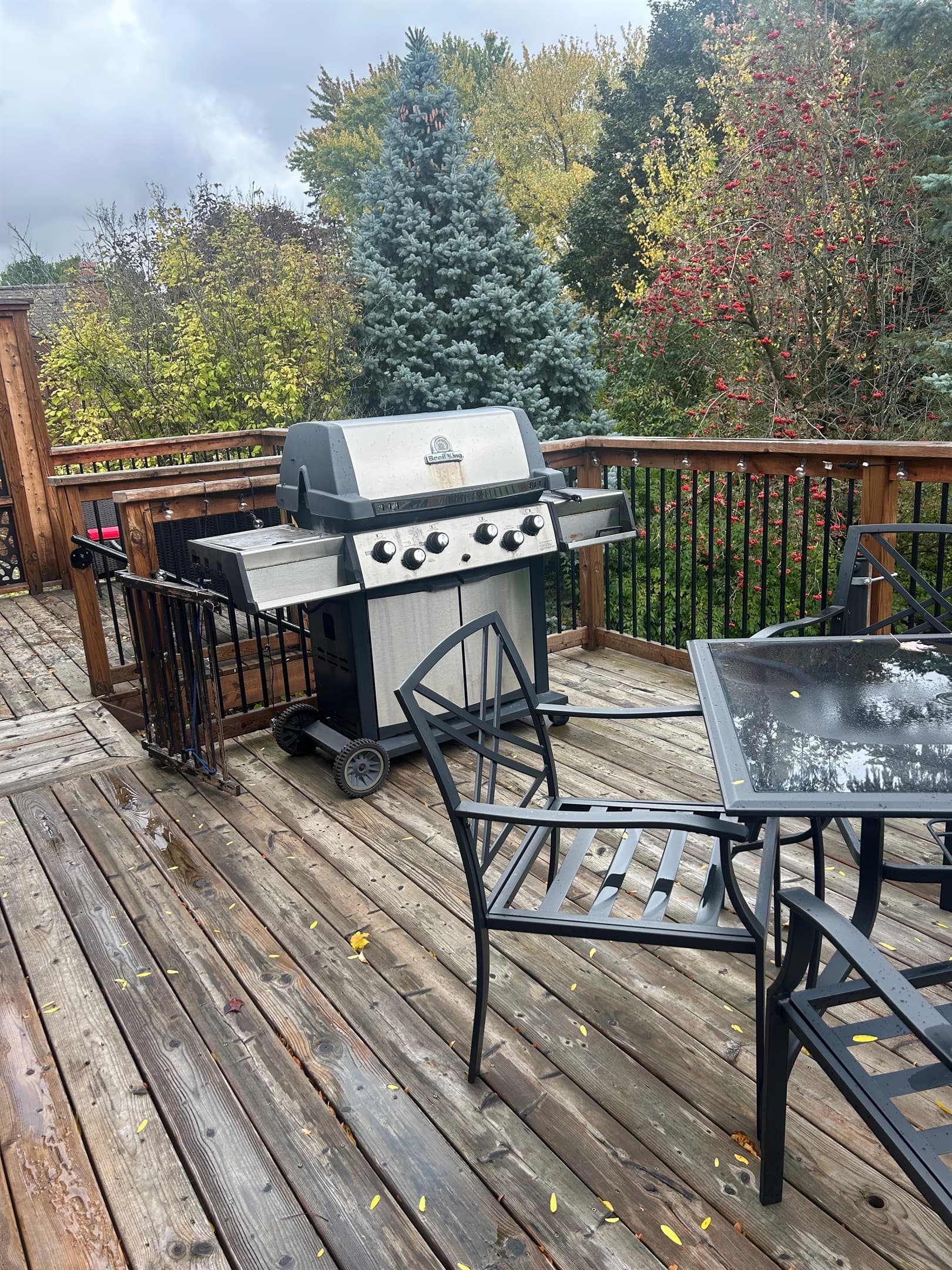BBQ with Outdoor Dining
