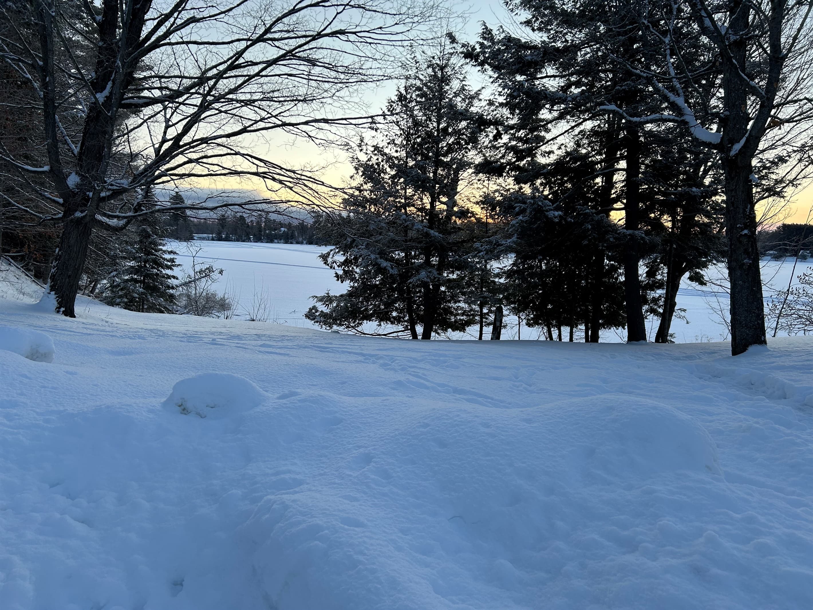 WINTER WONDERLAND