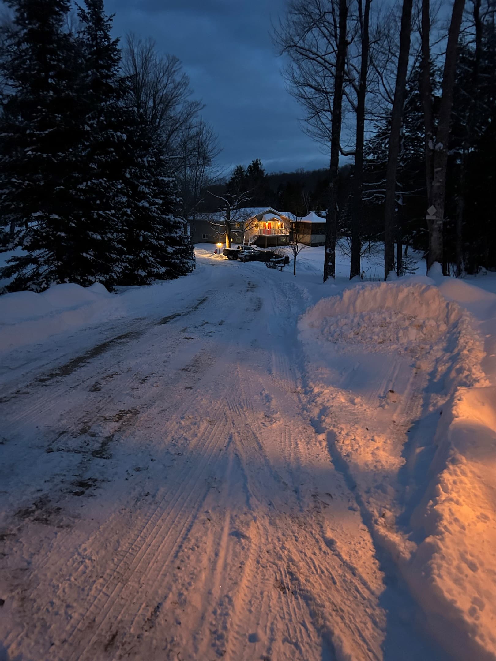 WINTER WONDERLAND