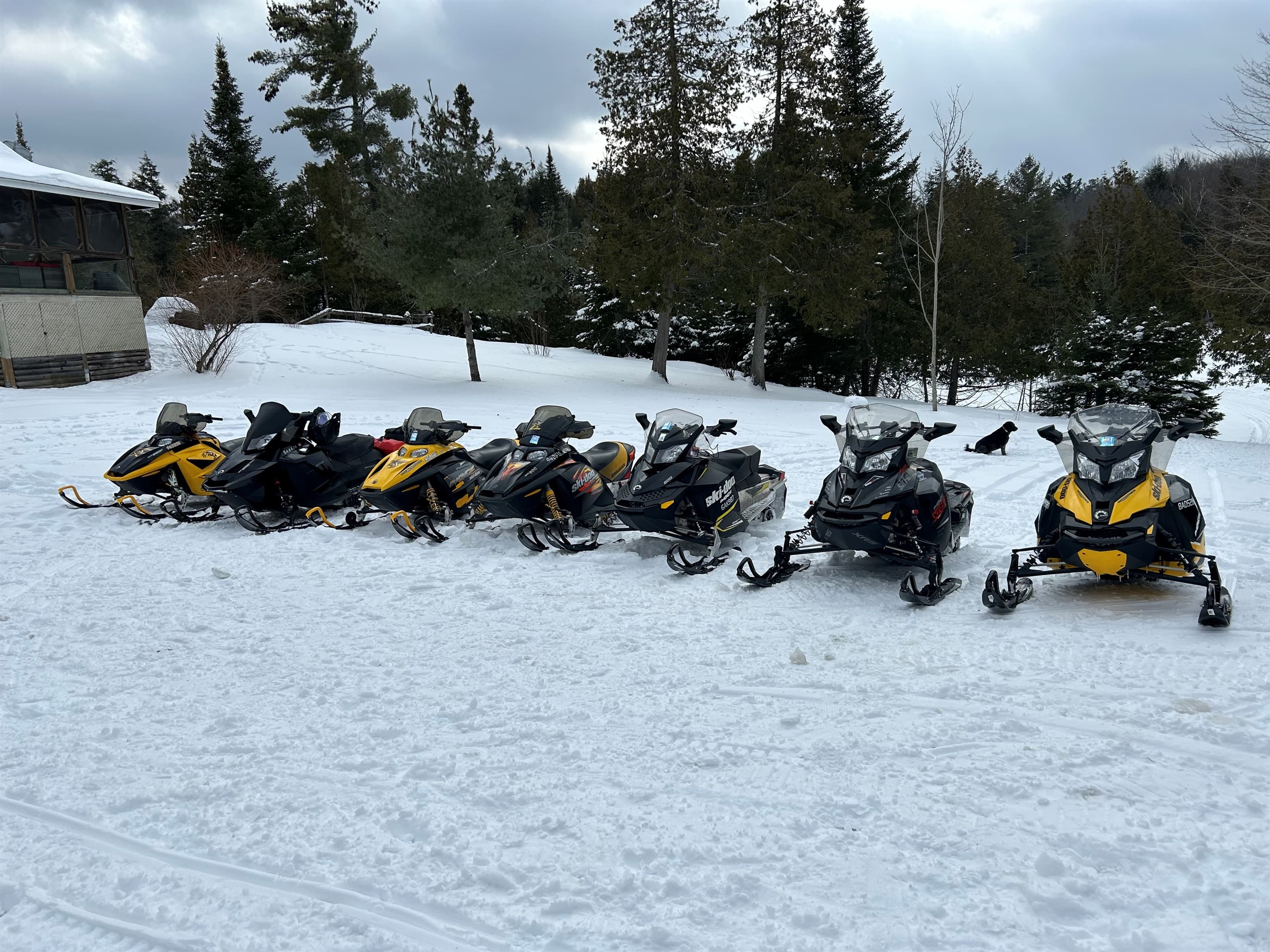 SNOWMOBILER'S DELIGHT