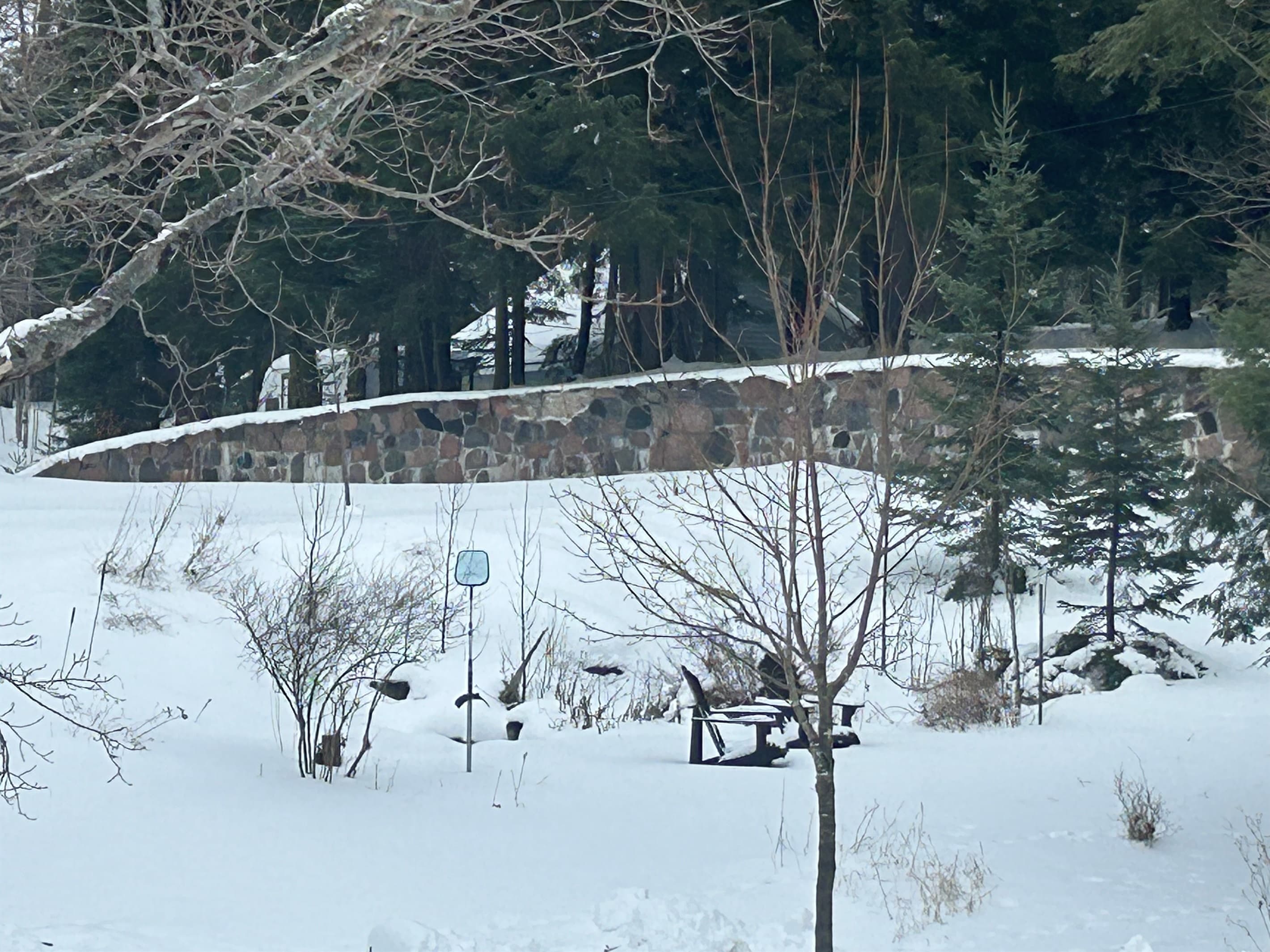 WINTER WONDERLAND
