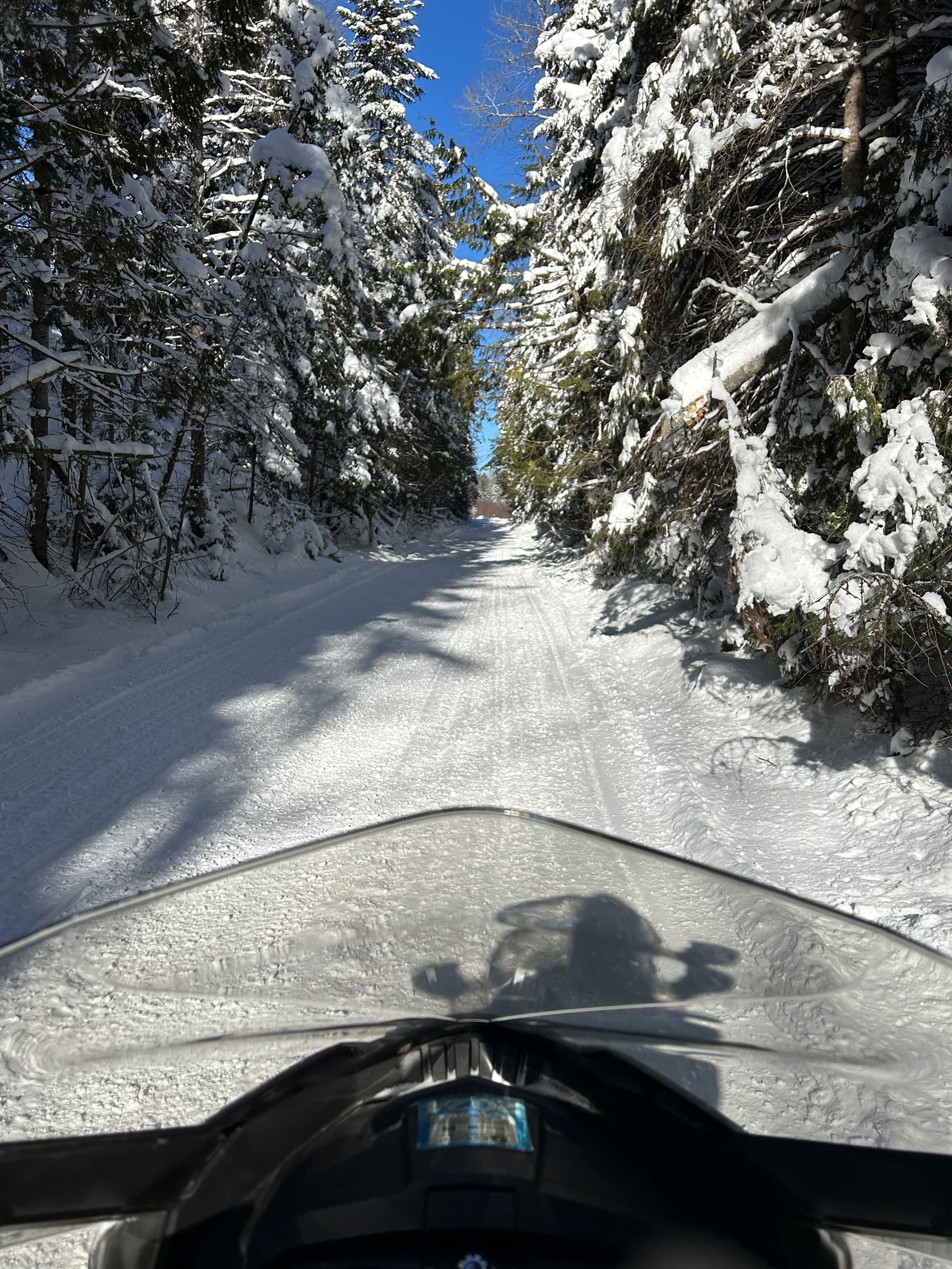 SNOWMOBILER'S DELIGHT