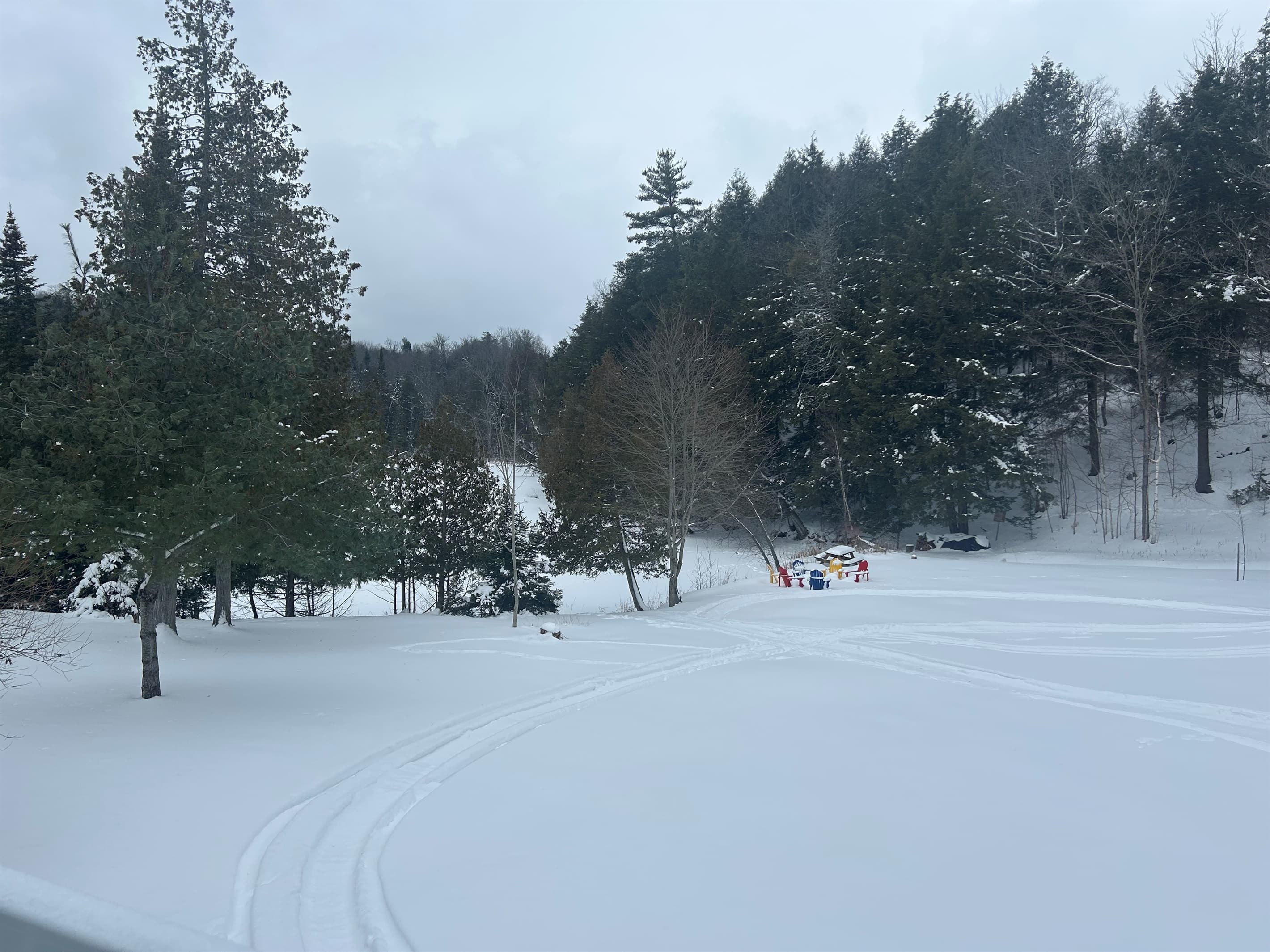 WINTER WONDERLAND