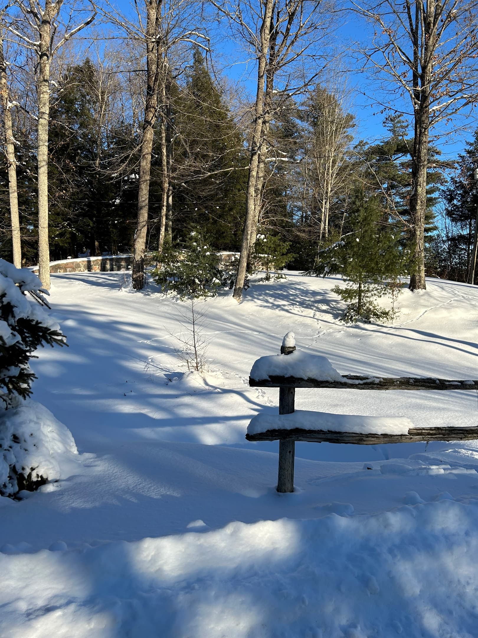 WINTER WONDERLAND