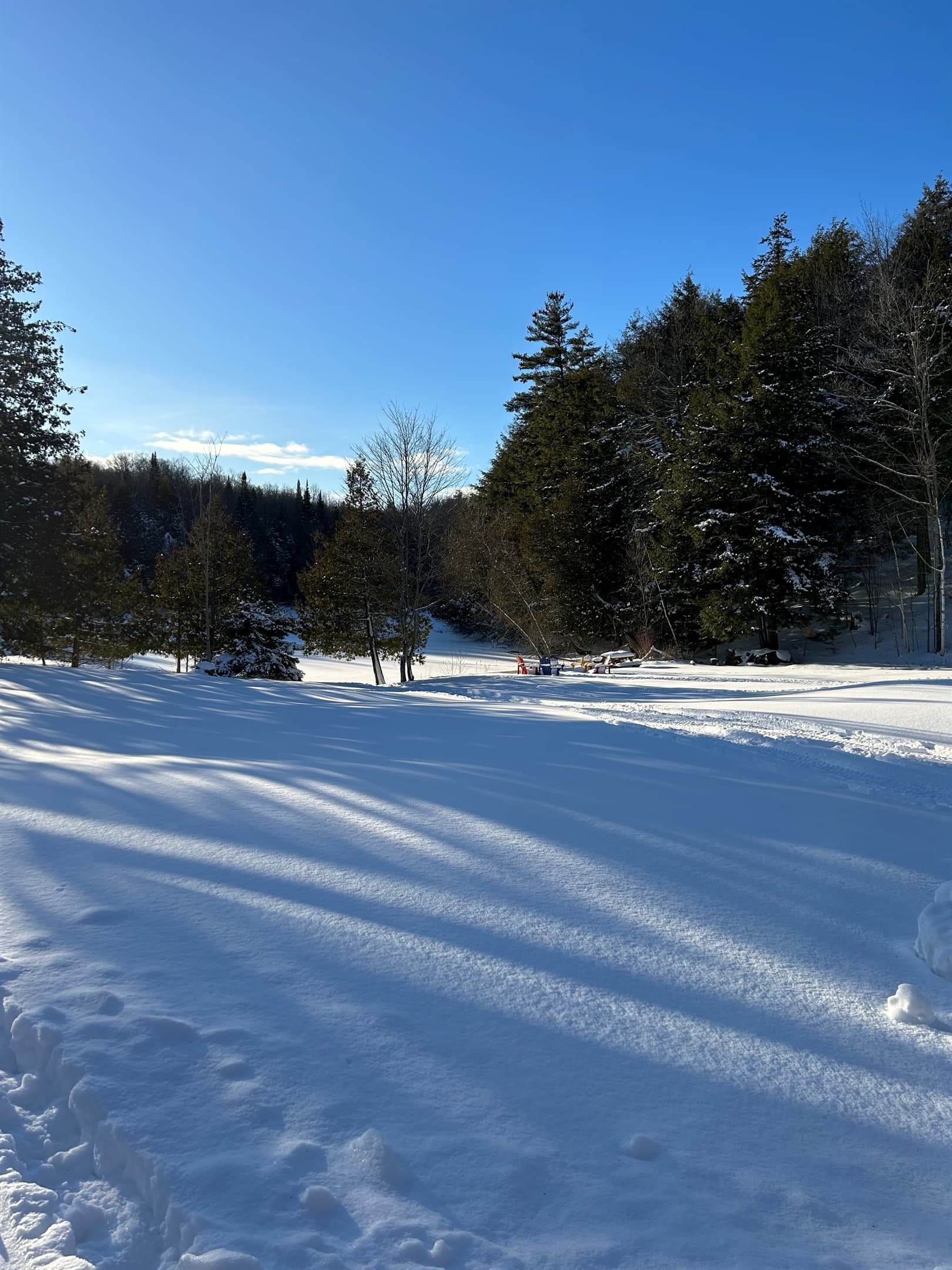 WINTER WONDERLAND