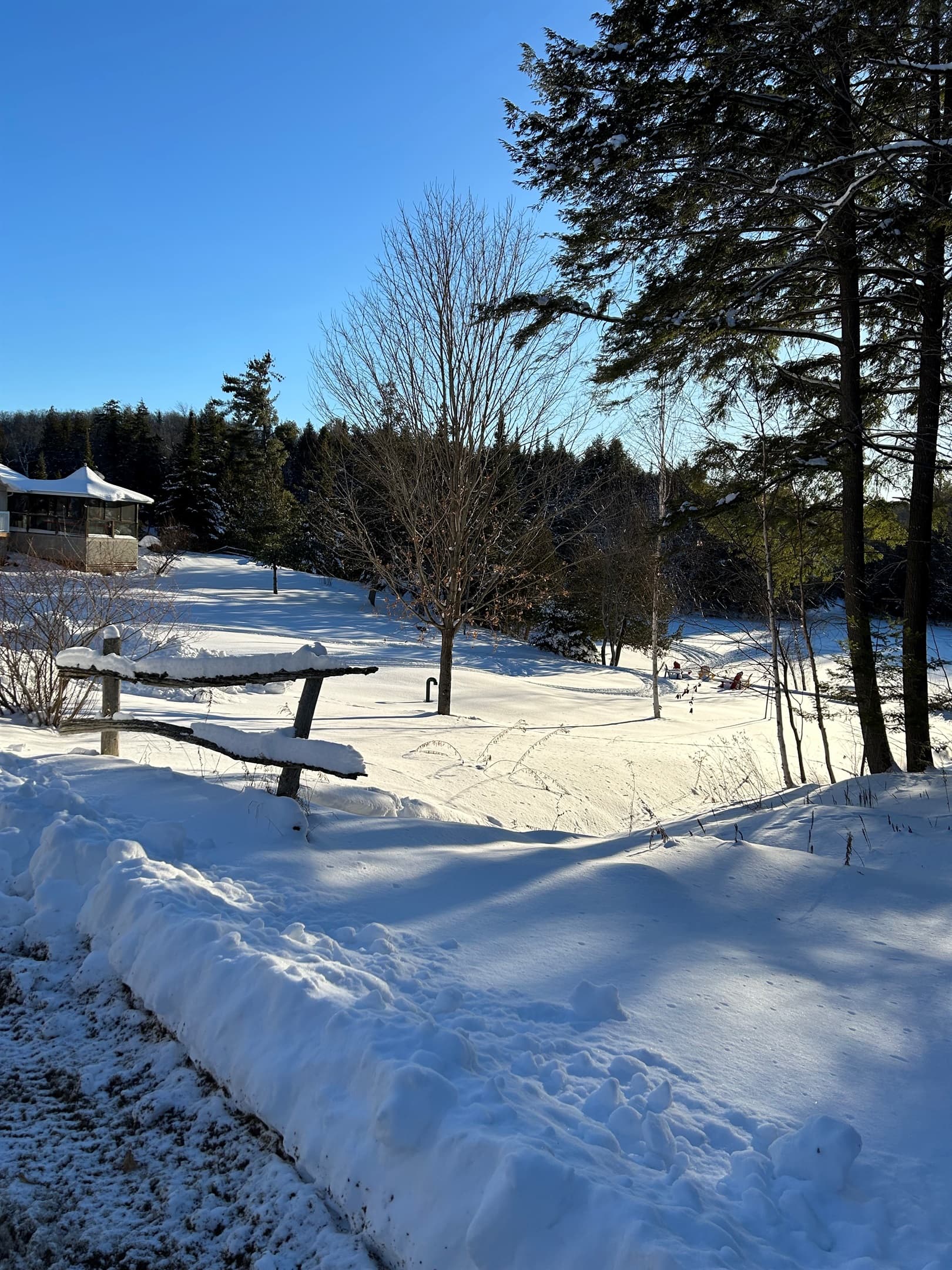 WINTER WONDERLAND