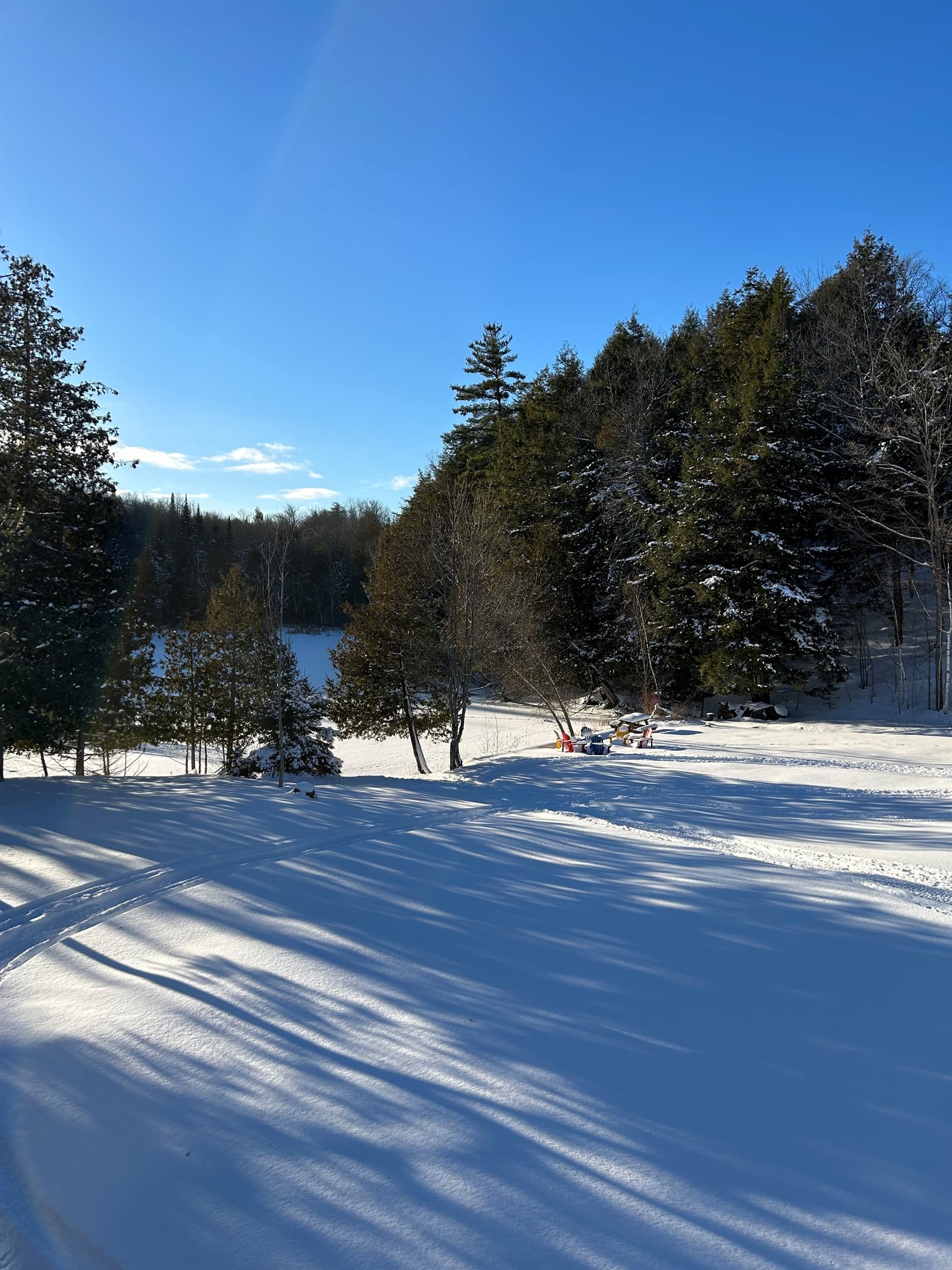 WINTER WONDERLAND