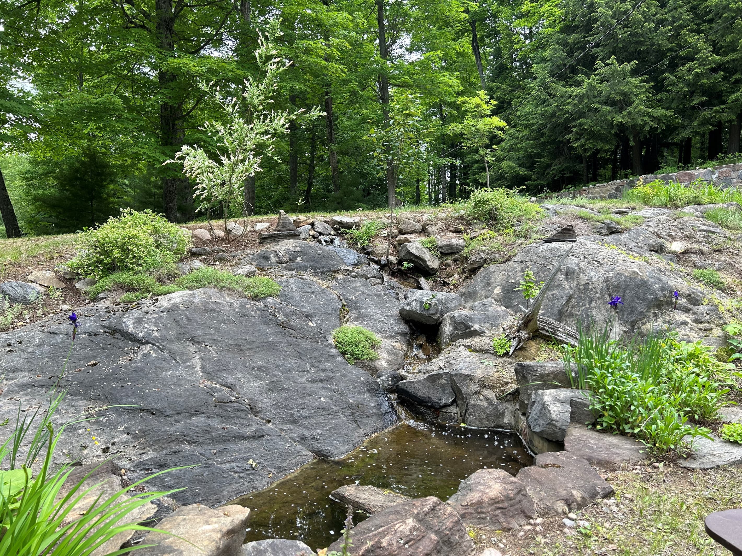 POND