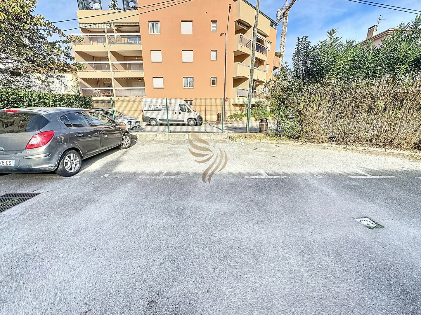 Gallery Image 13