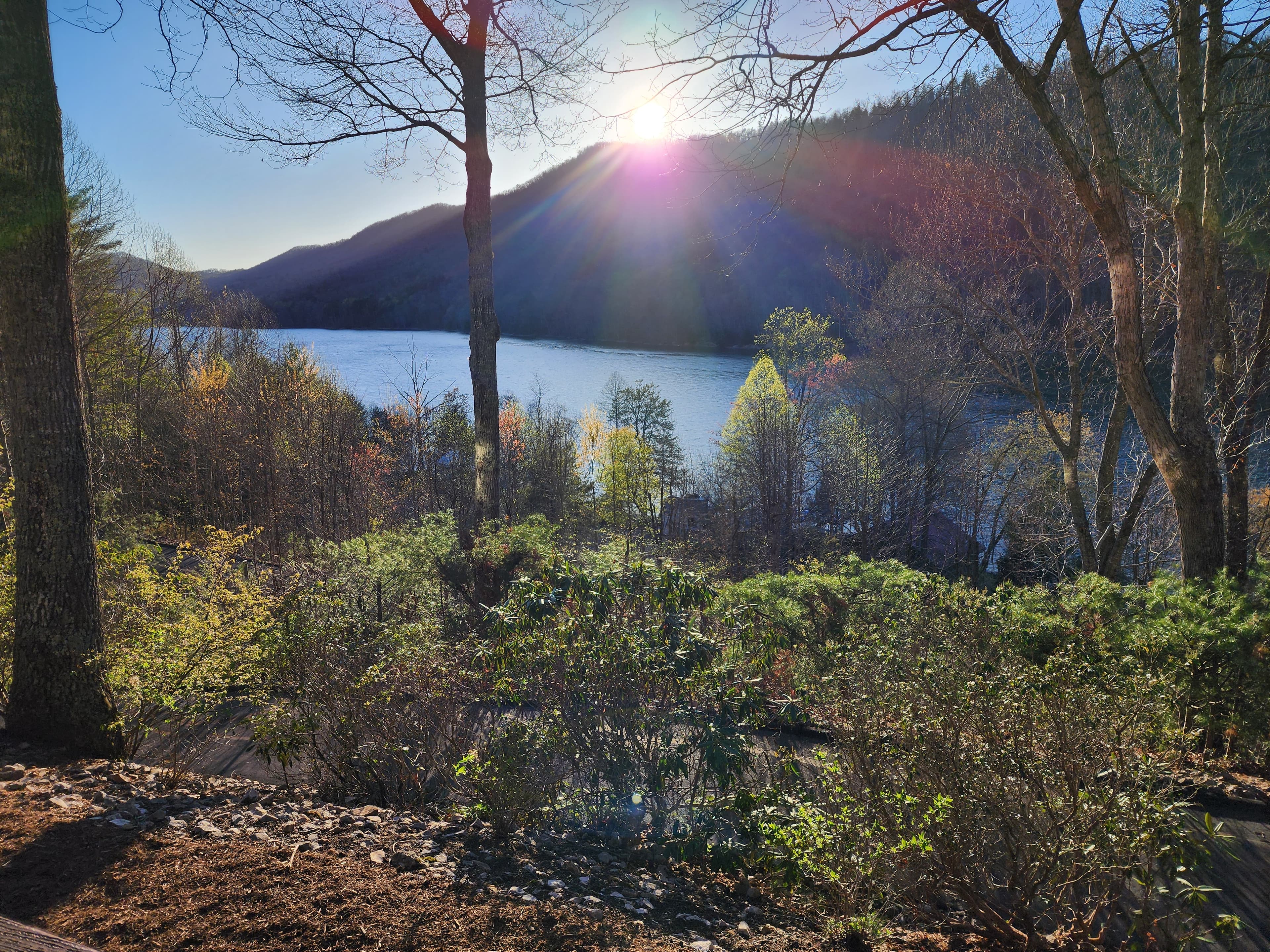 Spring sunset