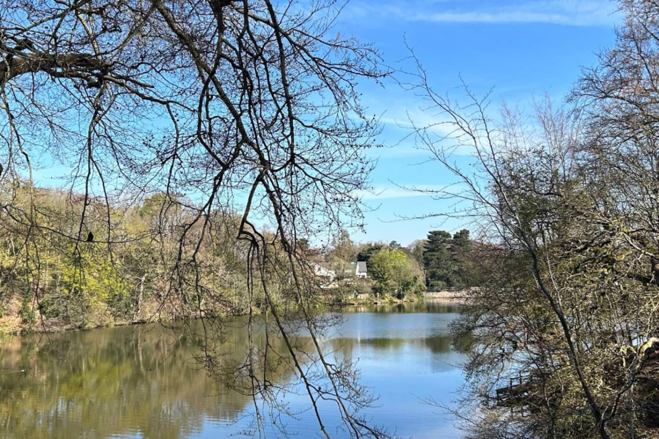 Gallery Image 11