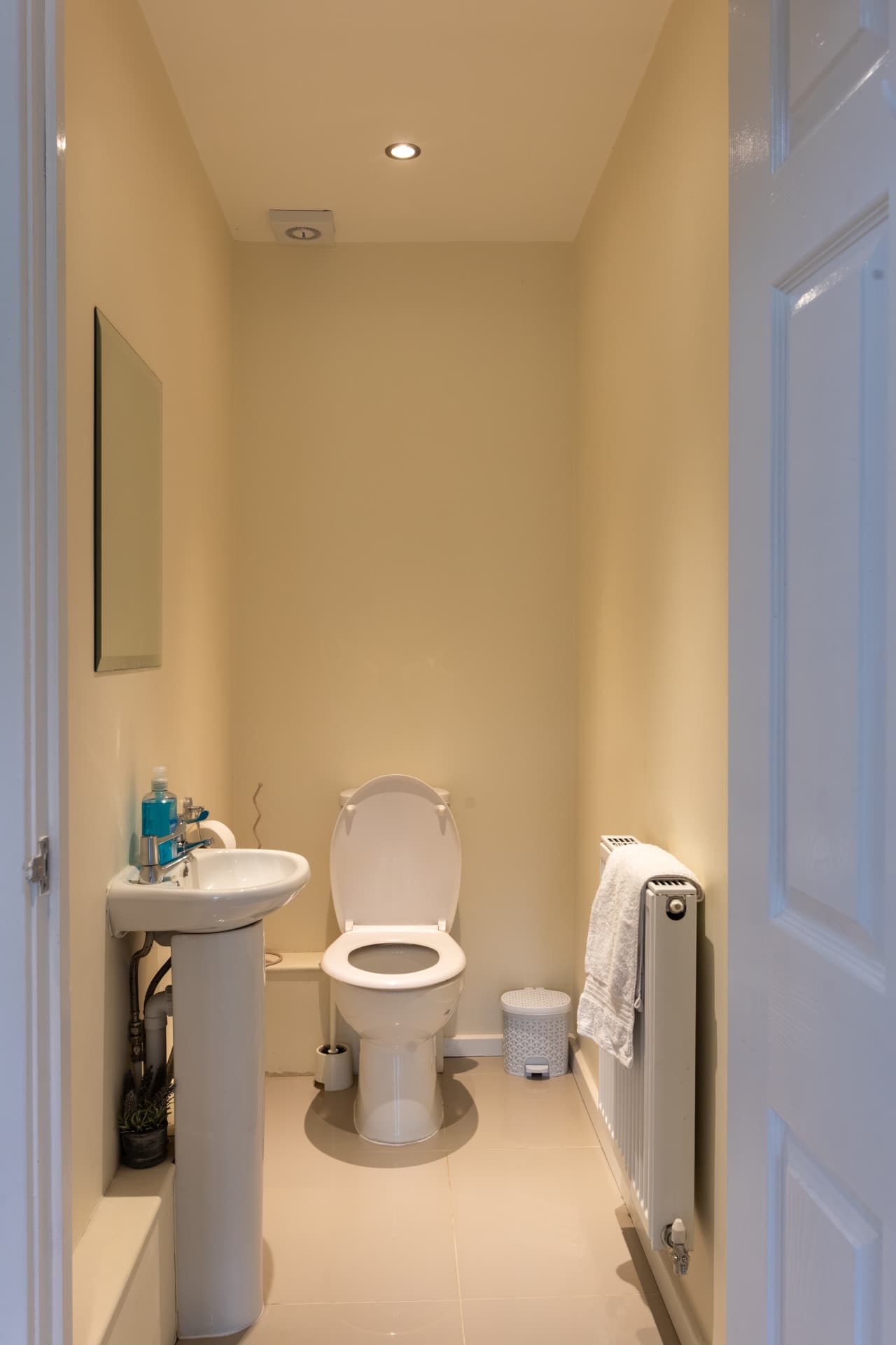 Balloon air bnb Dingley-19.jpg