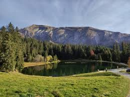 Images
