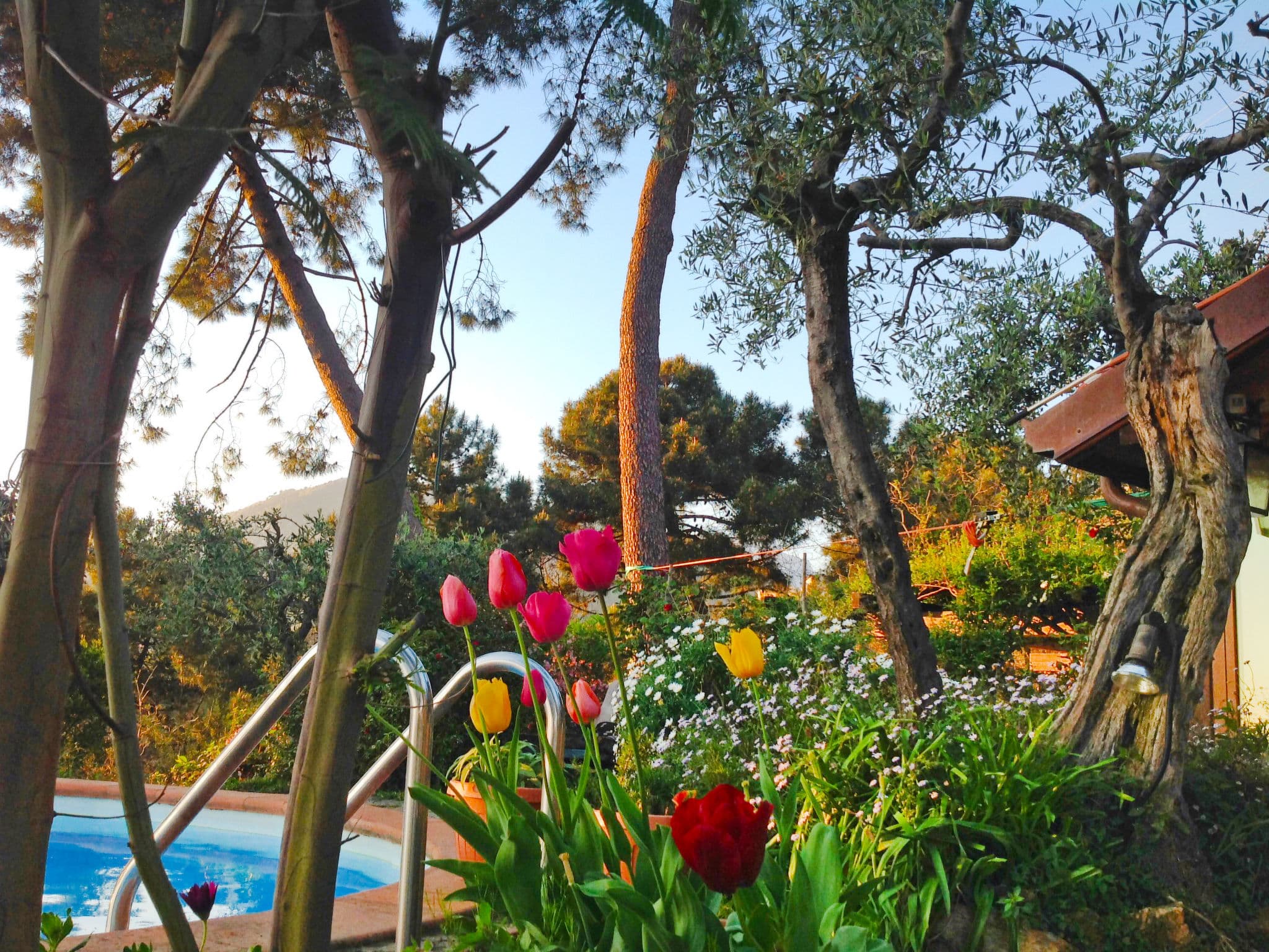 Pool Outdoor