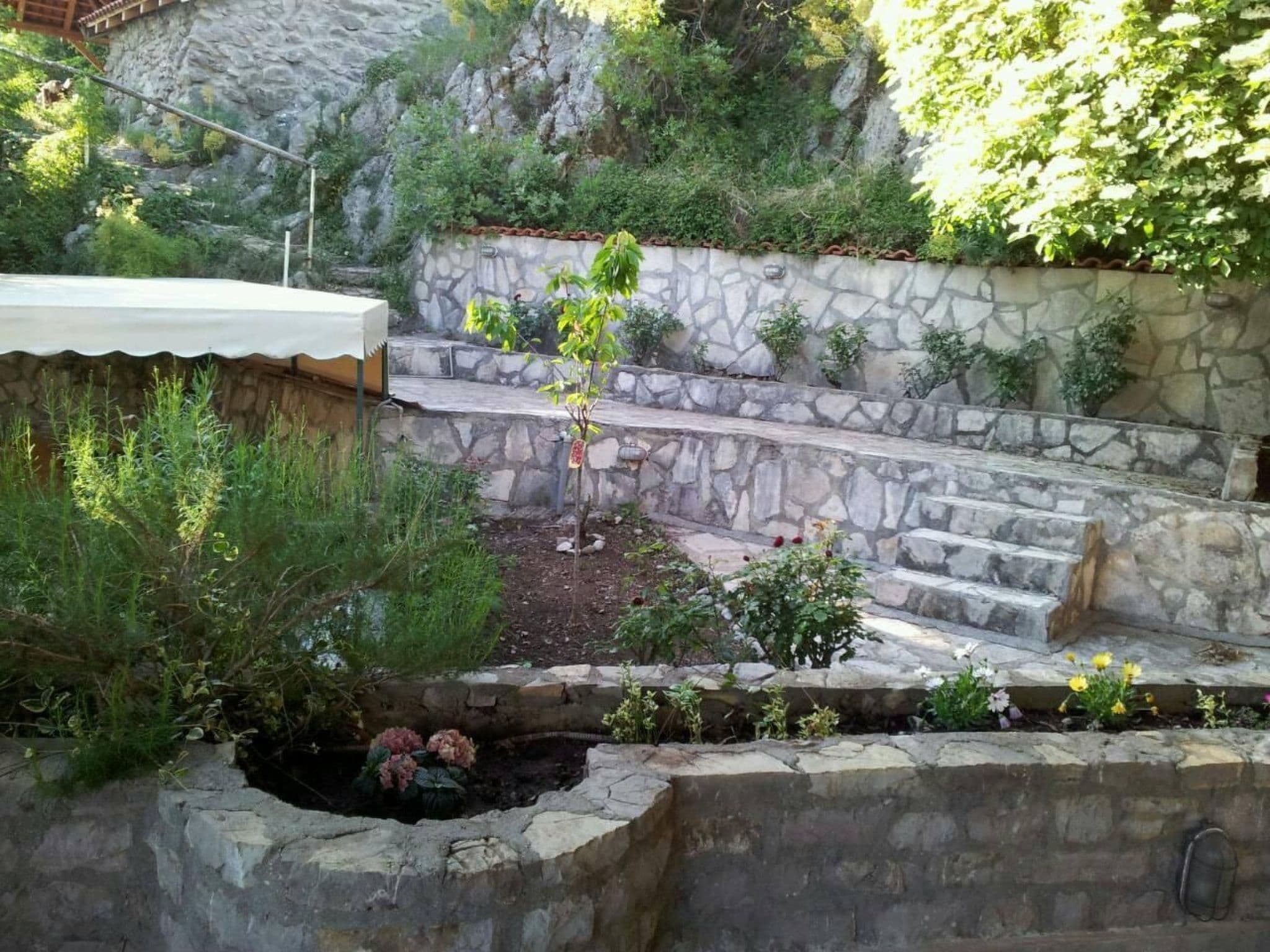 Gallery Image 11