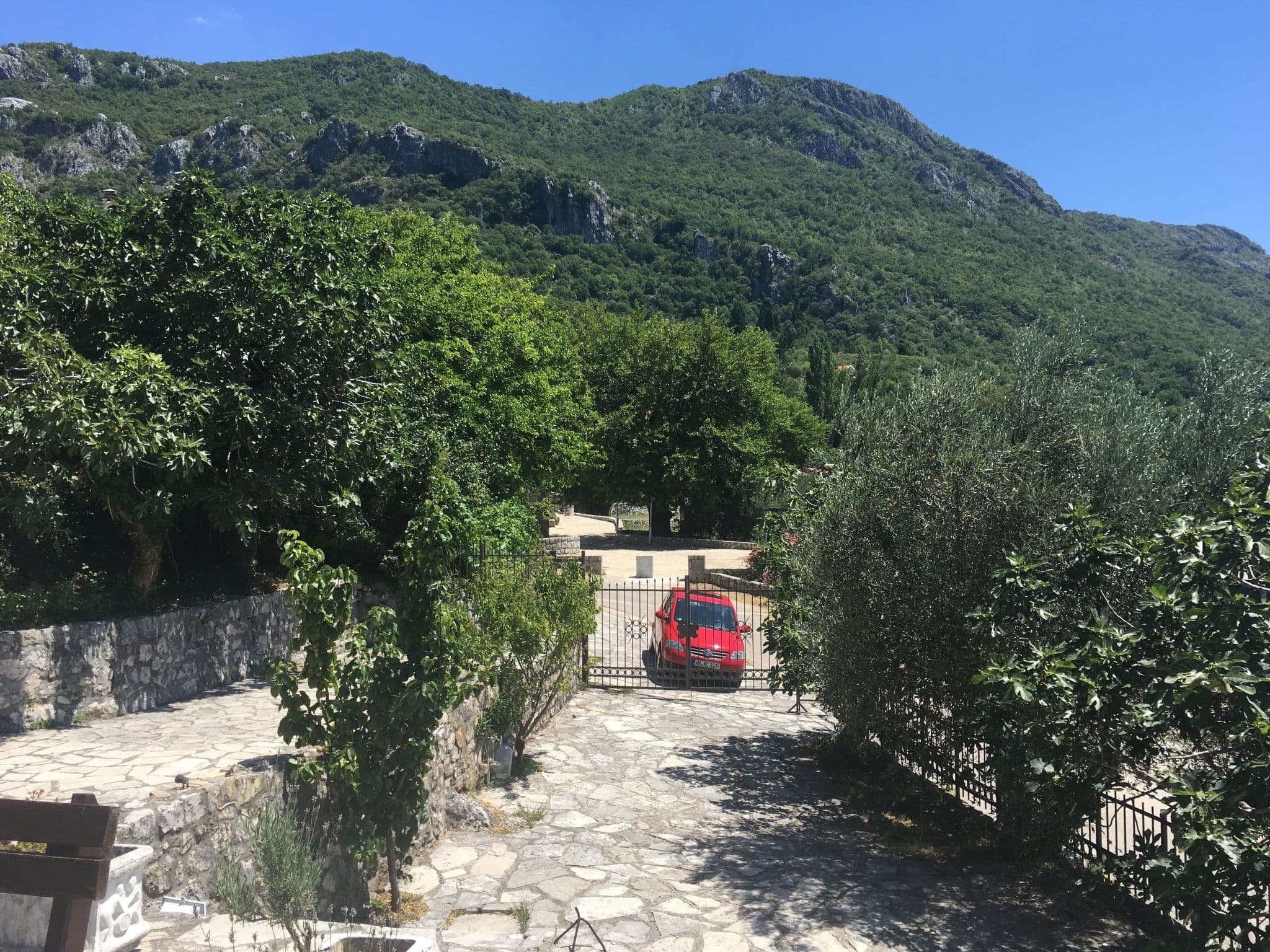 Gallery Image 26