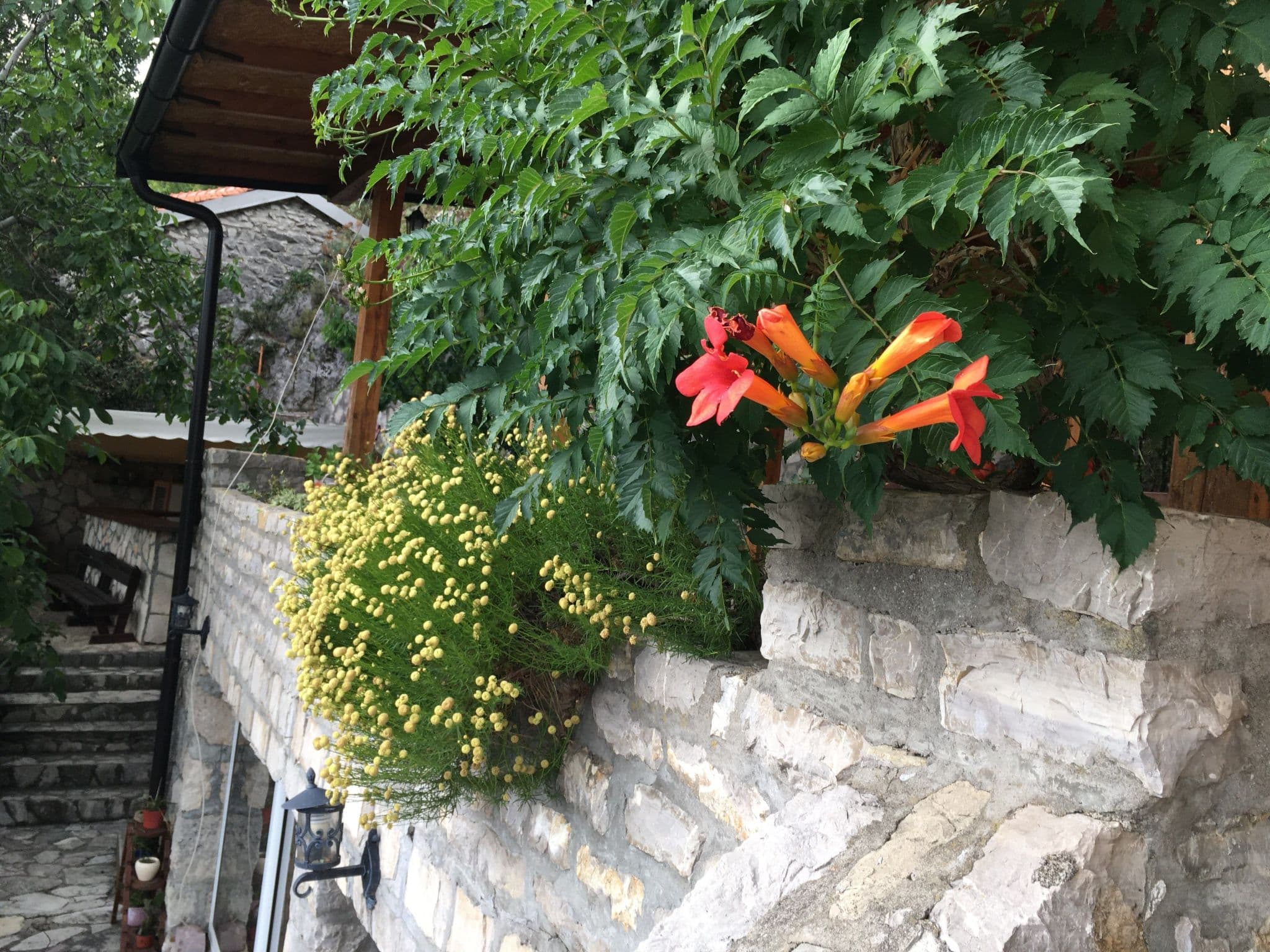 Gallery Image 32