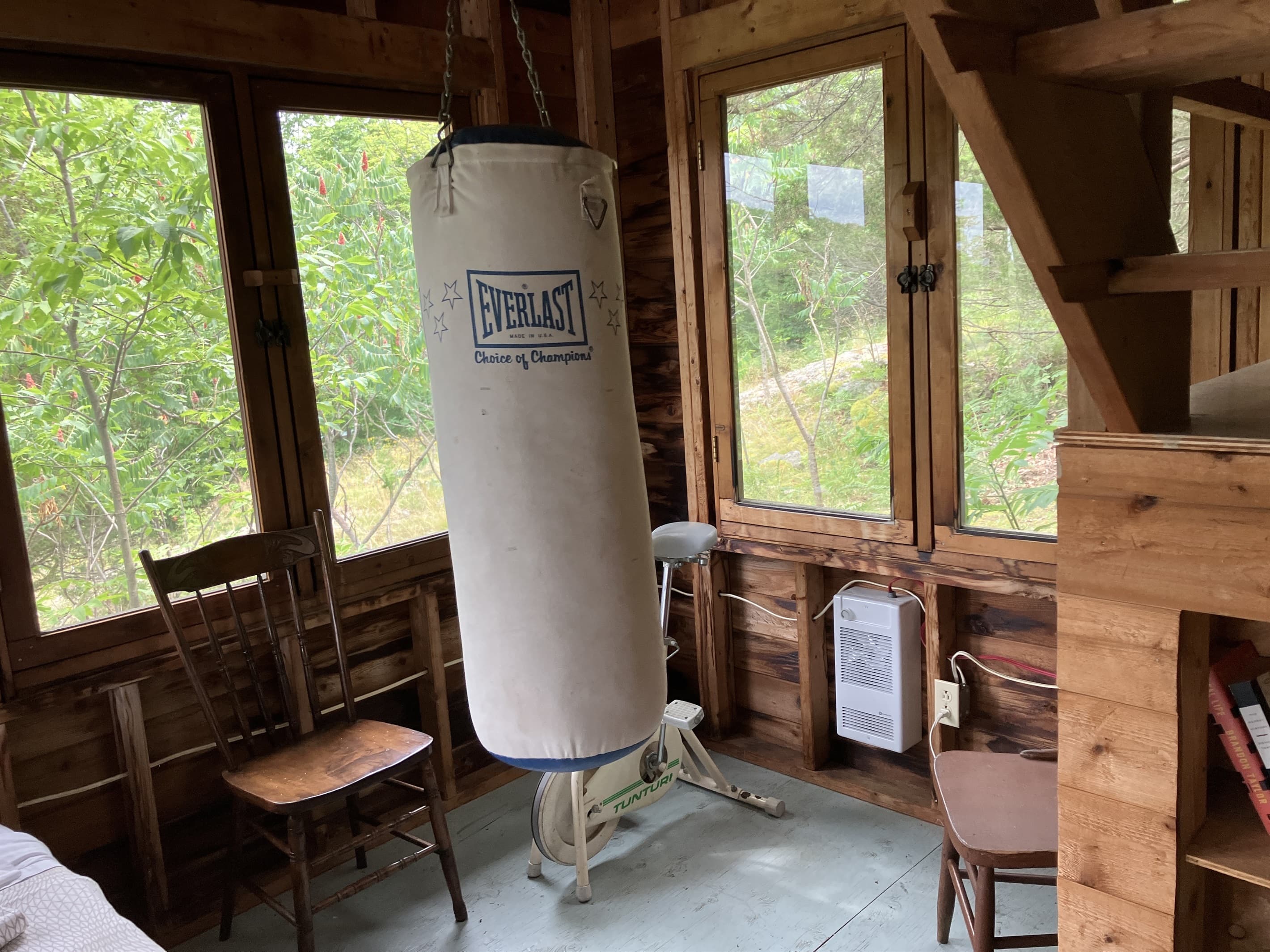 punching bag, free weights, exercise bike