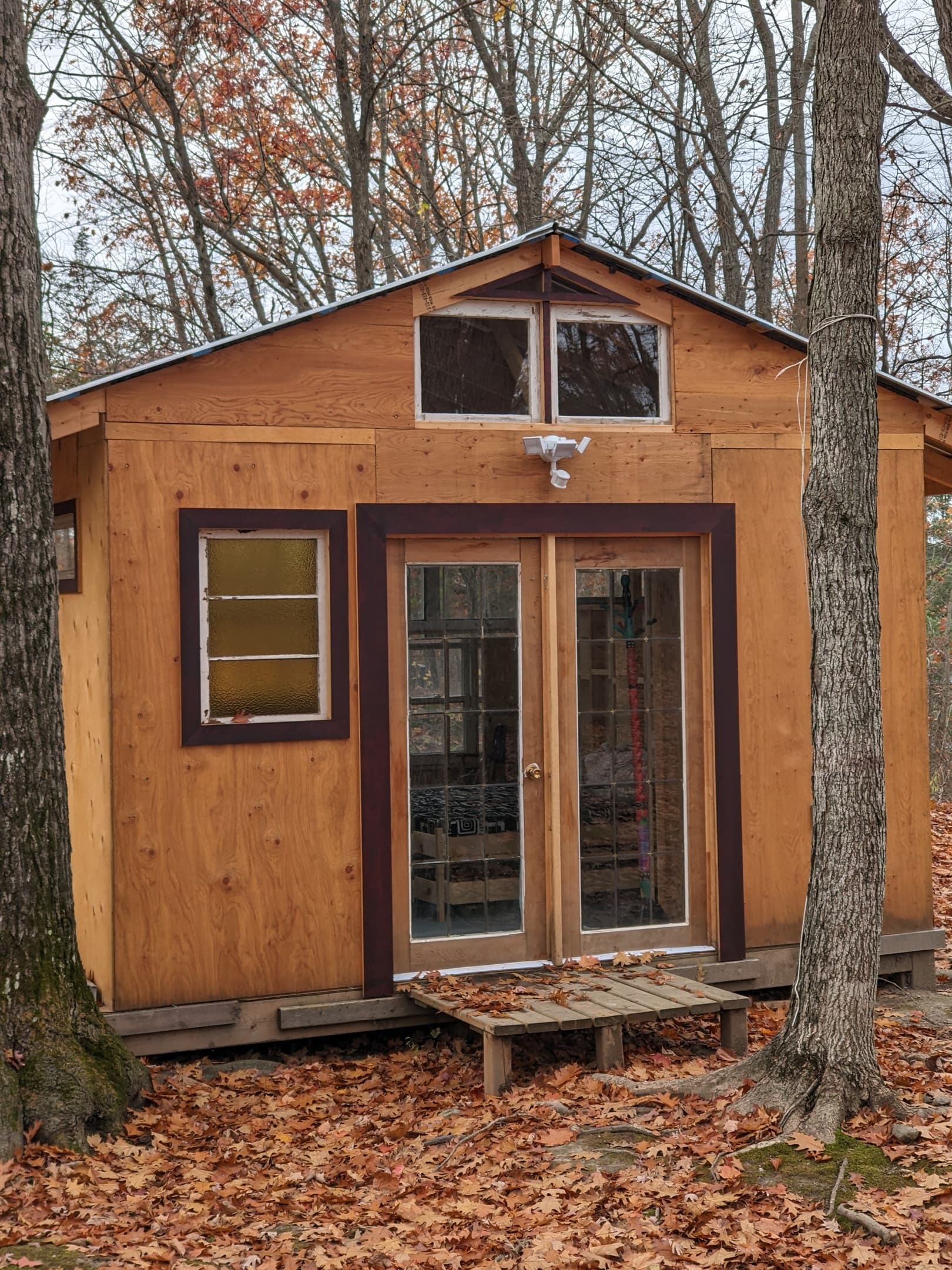 bunkie