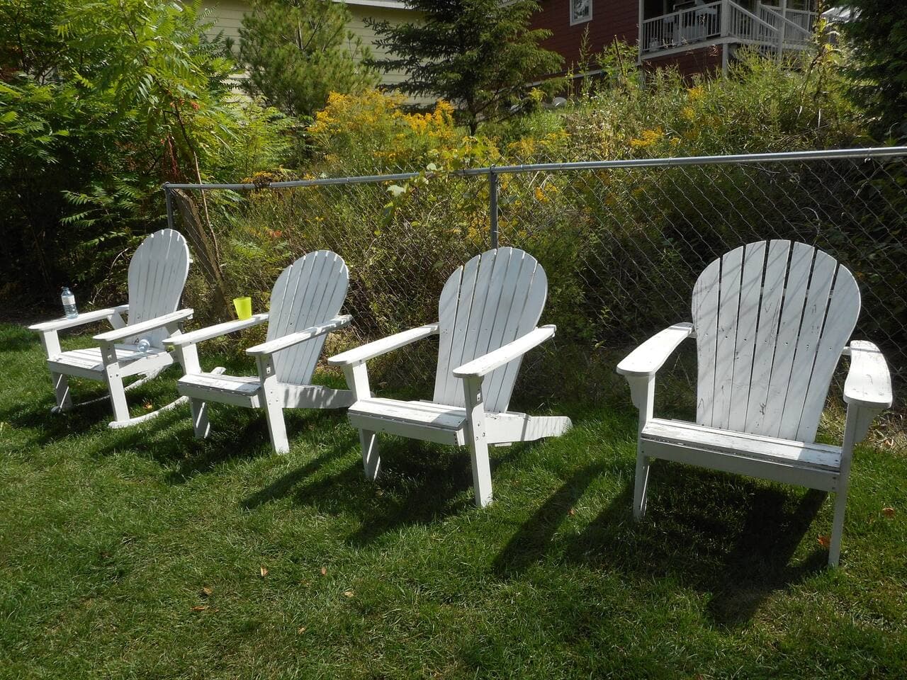 lawn