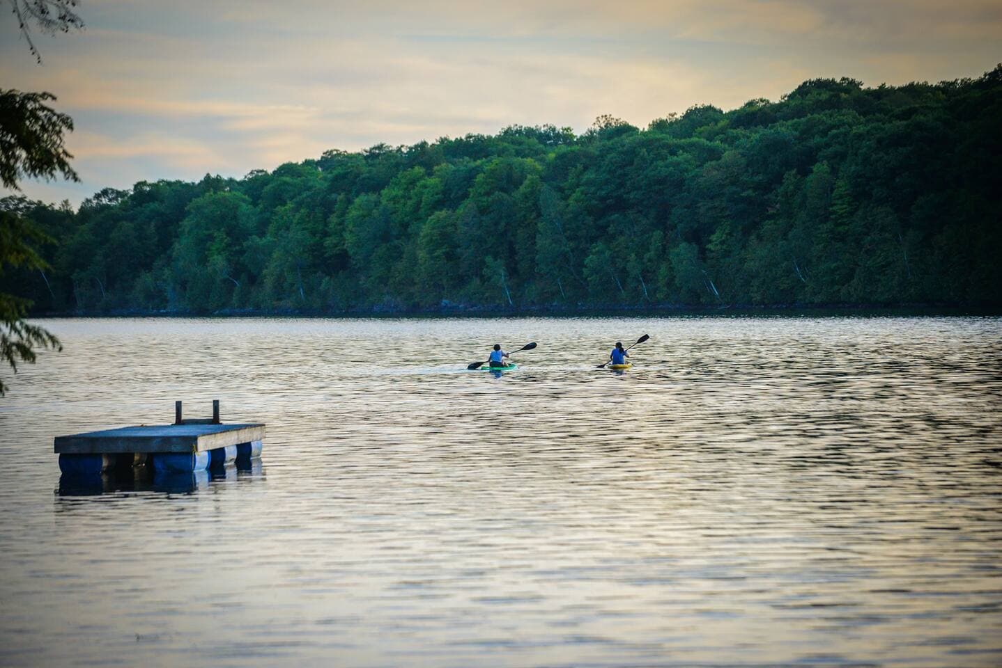 Kayaks