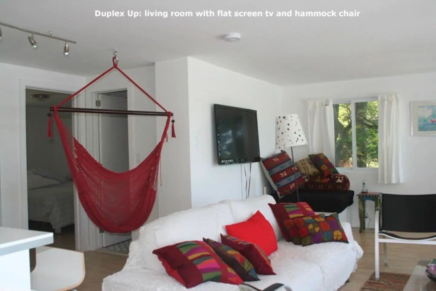 cool hammock chair and large flat screen tv
