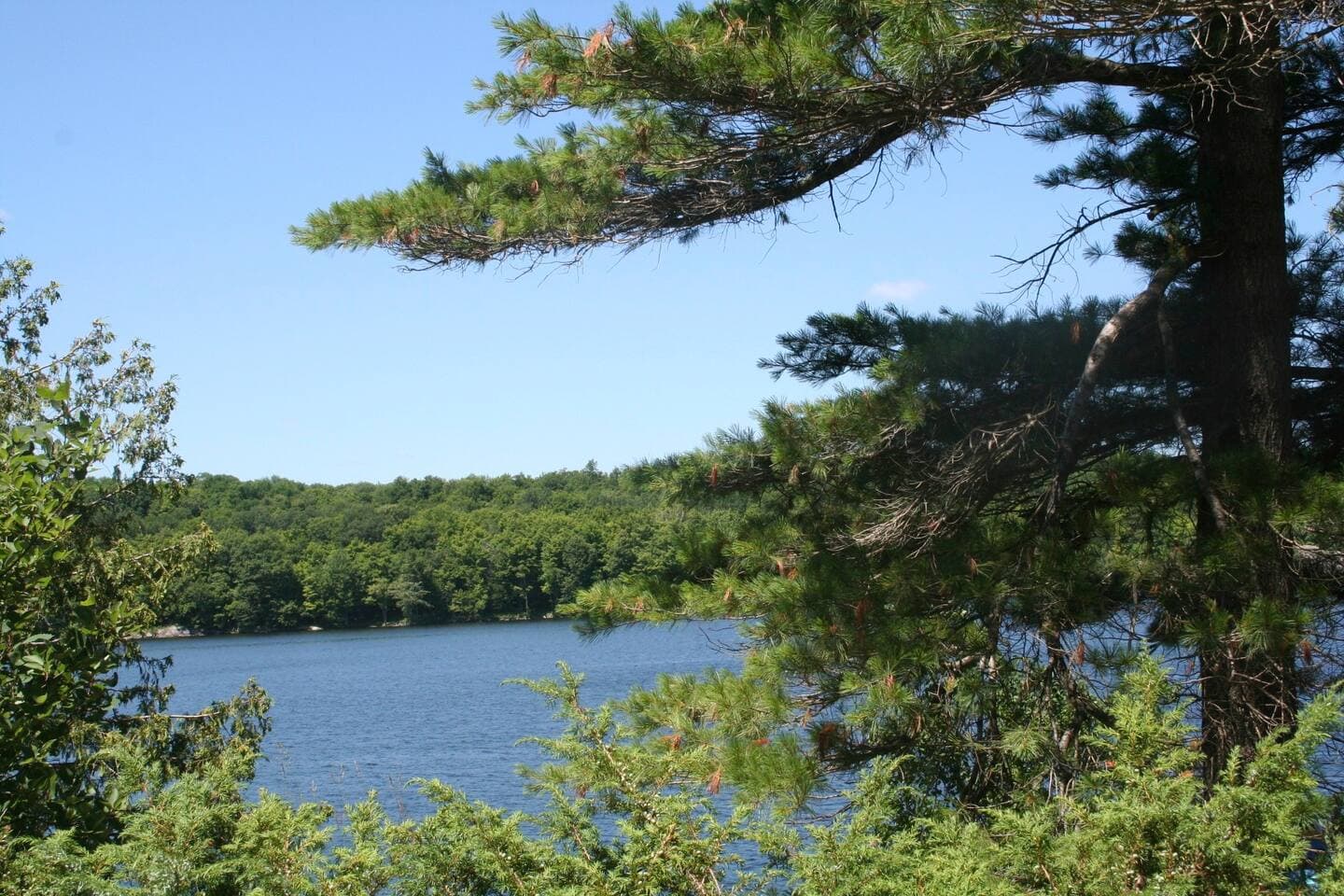 view