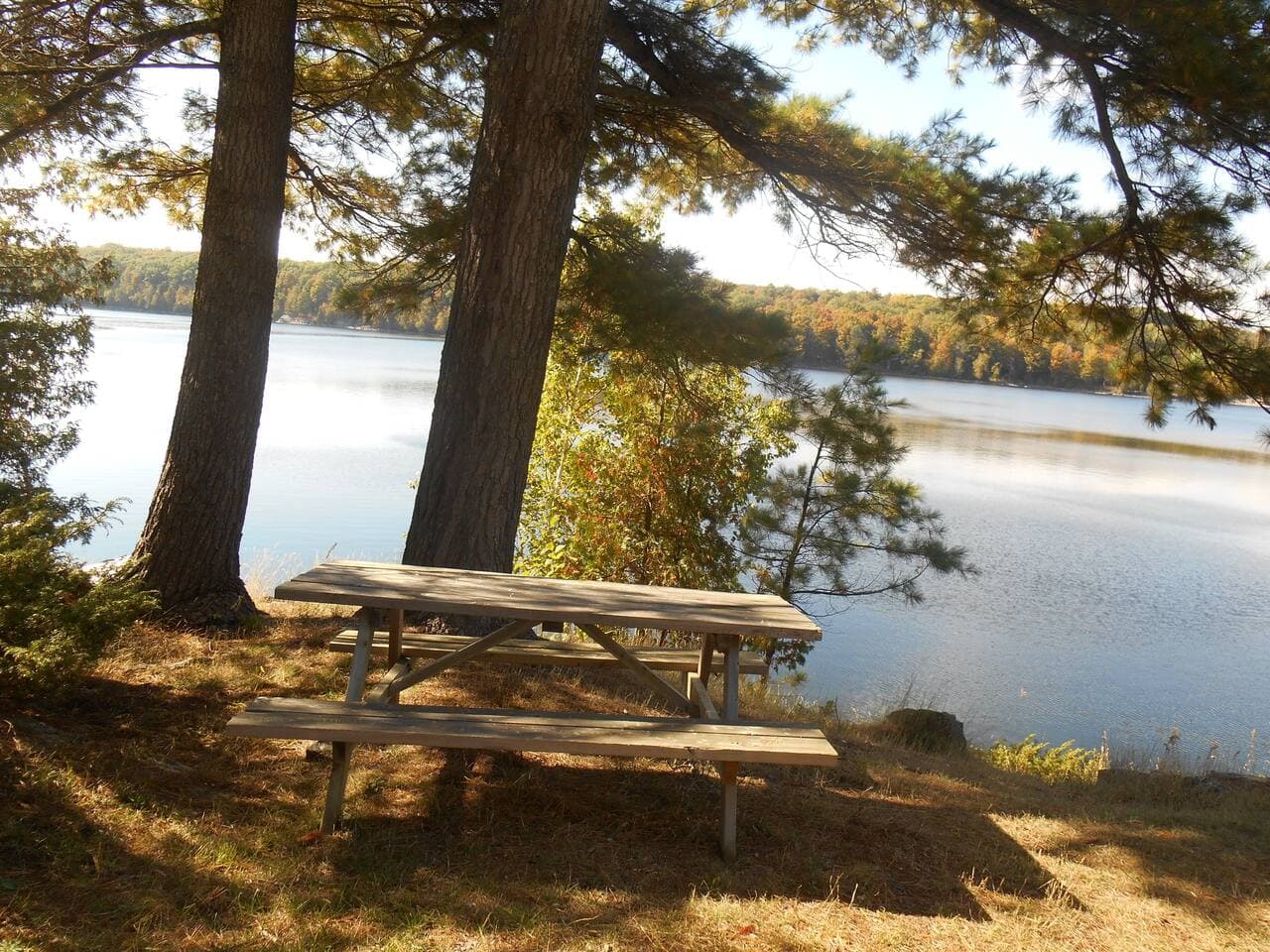 private area in front of cottage