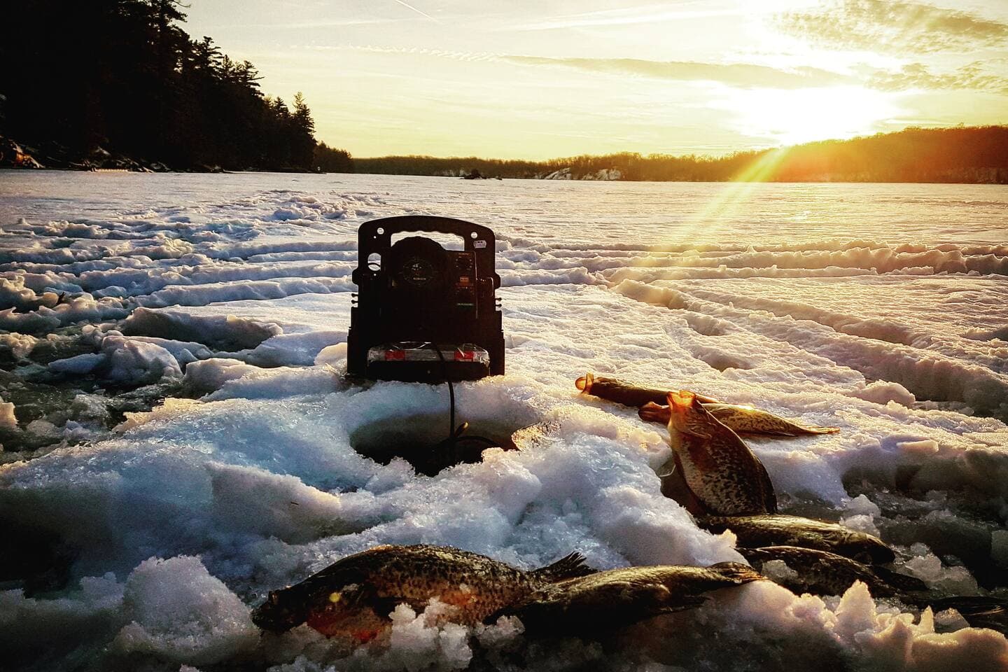 walk on our lake