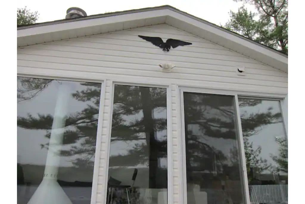The Eagle
