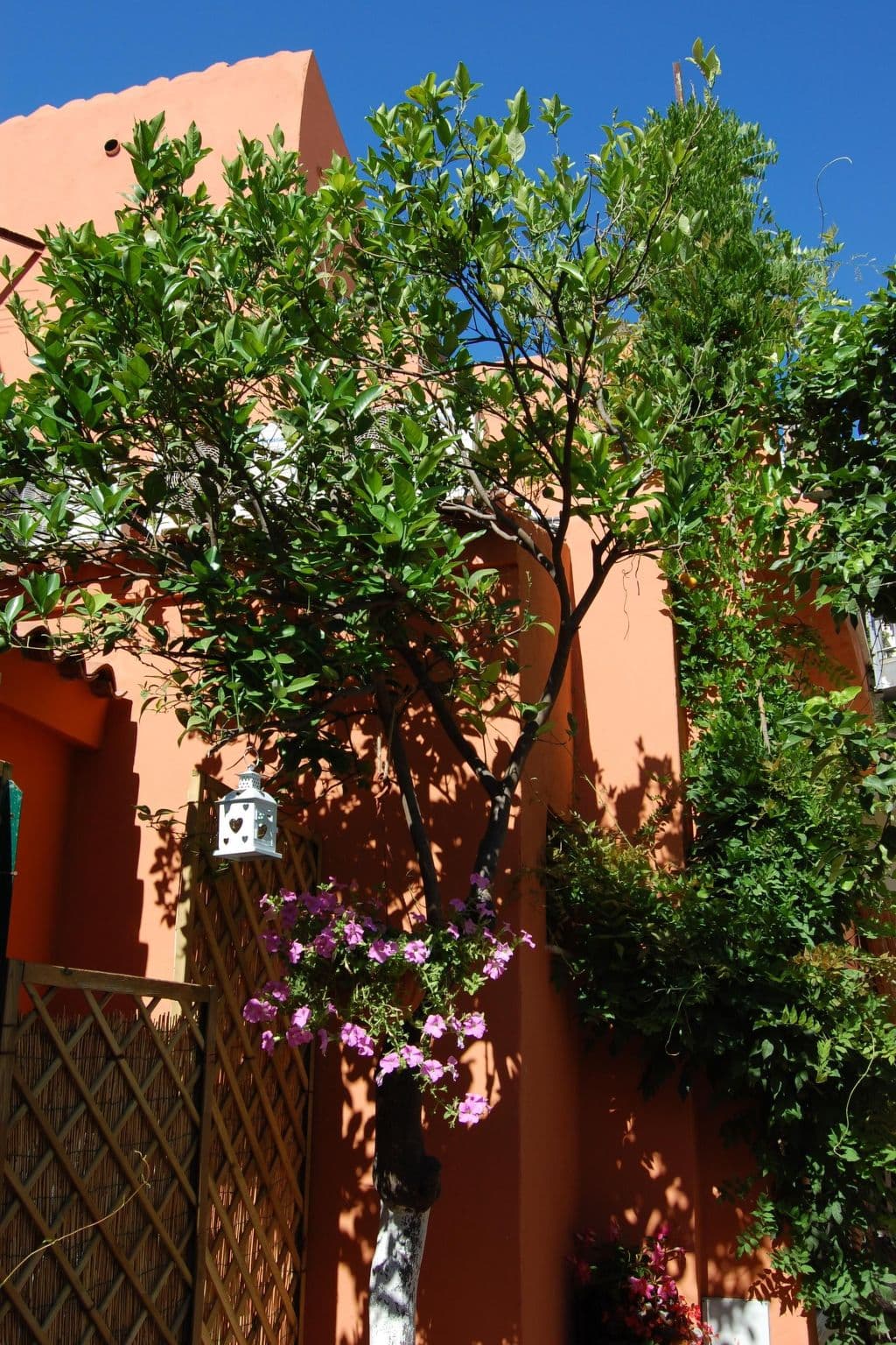 Gallery Image 7
