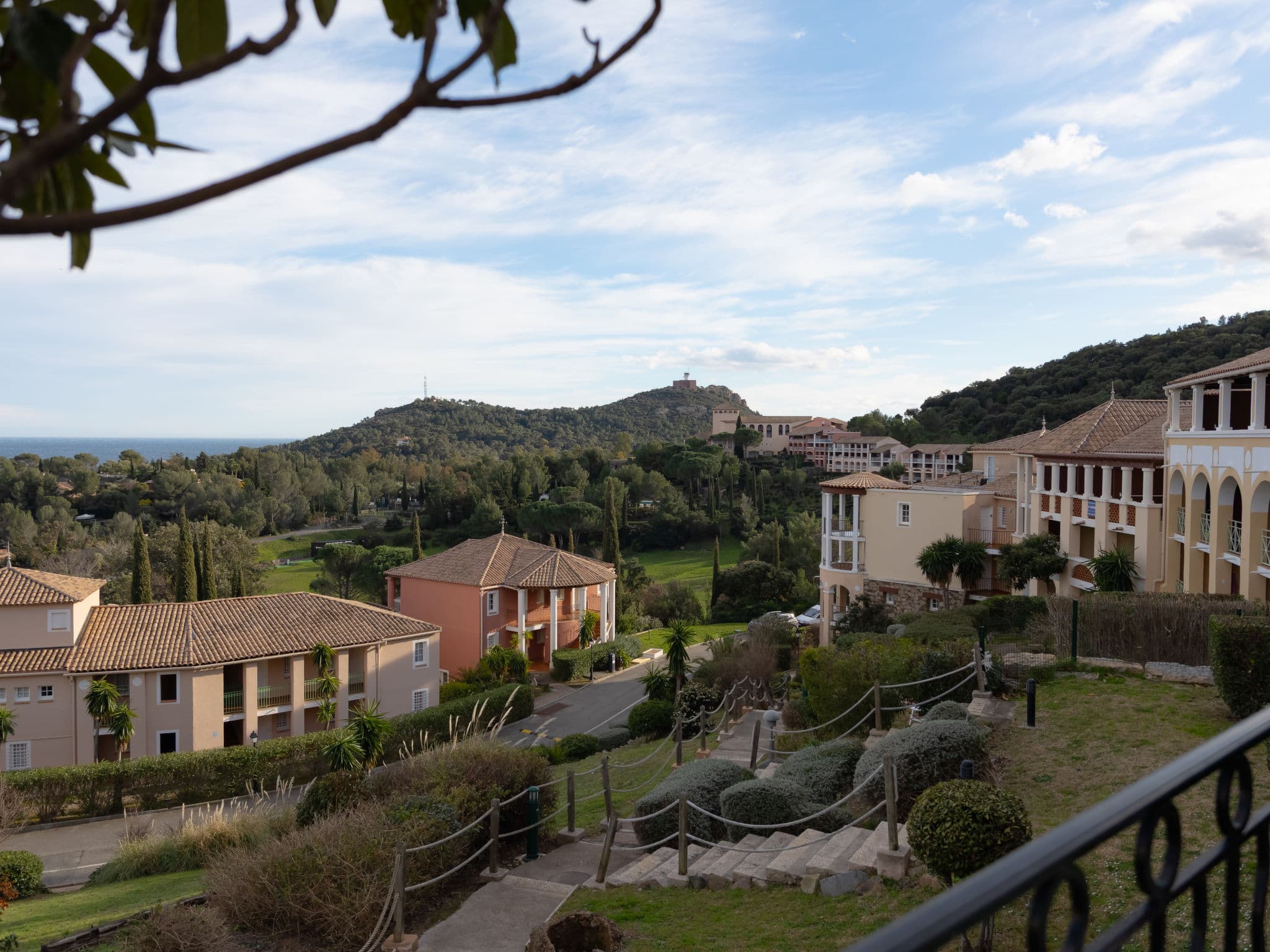 View