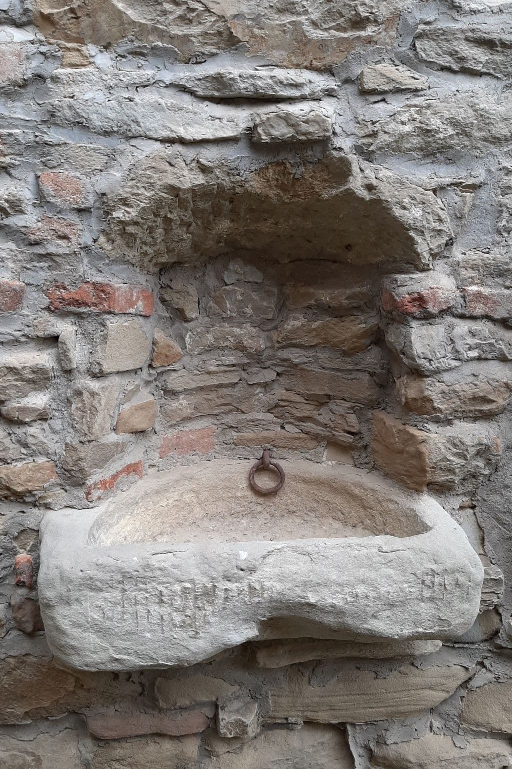 Gallery Image 20