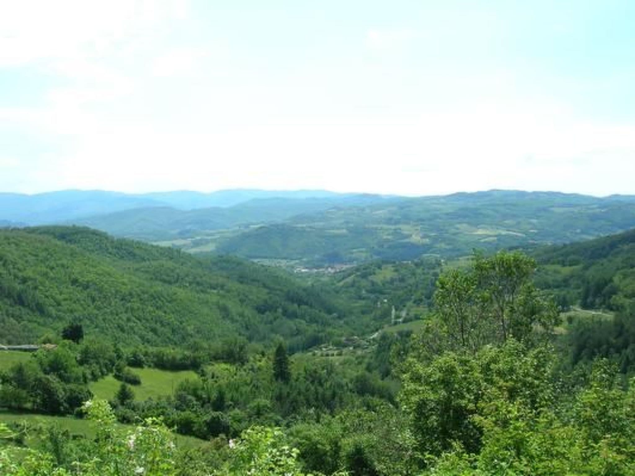 Gallery Image 17