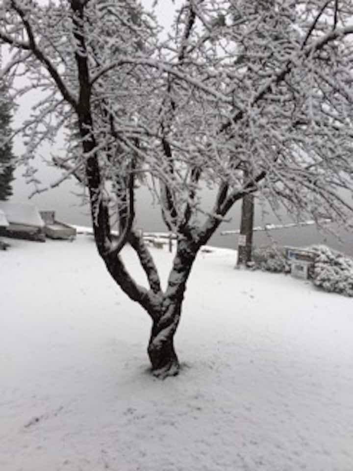 Winter on the lake