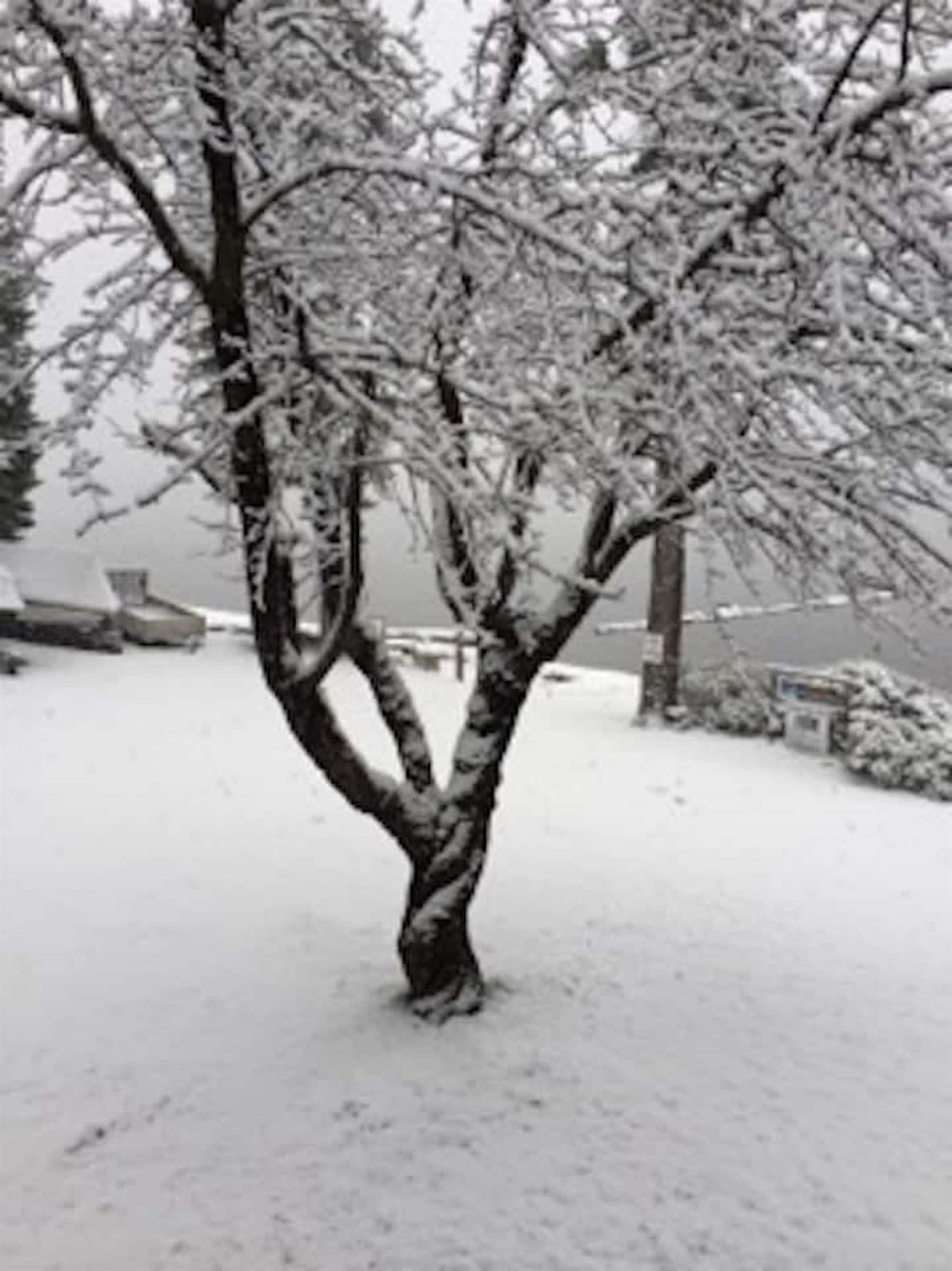 Winter on the lake